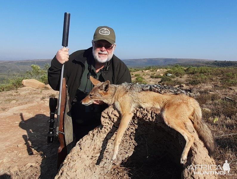 Jackal Hunt Zimbabwe