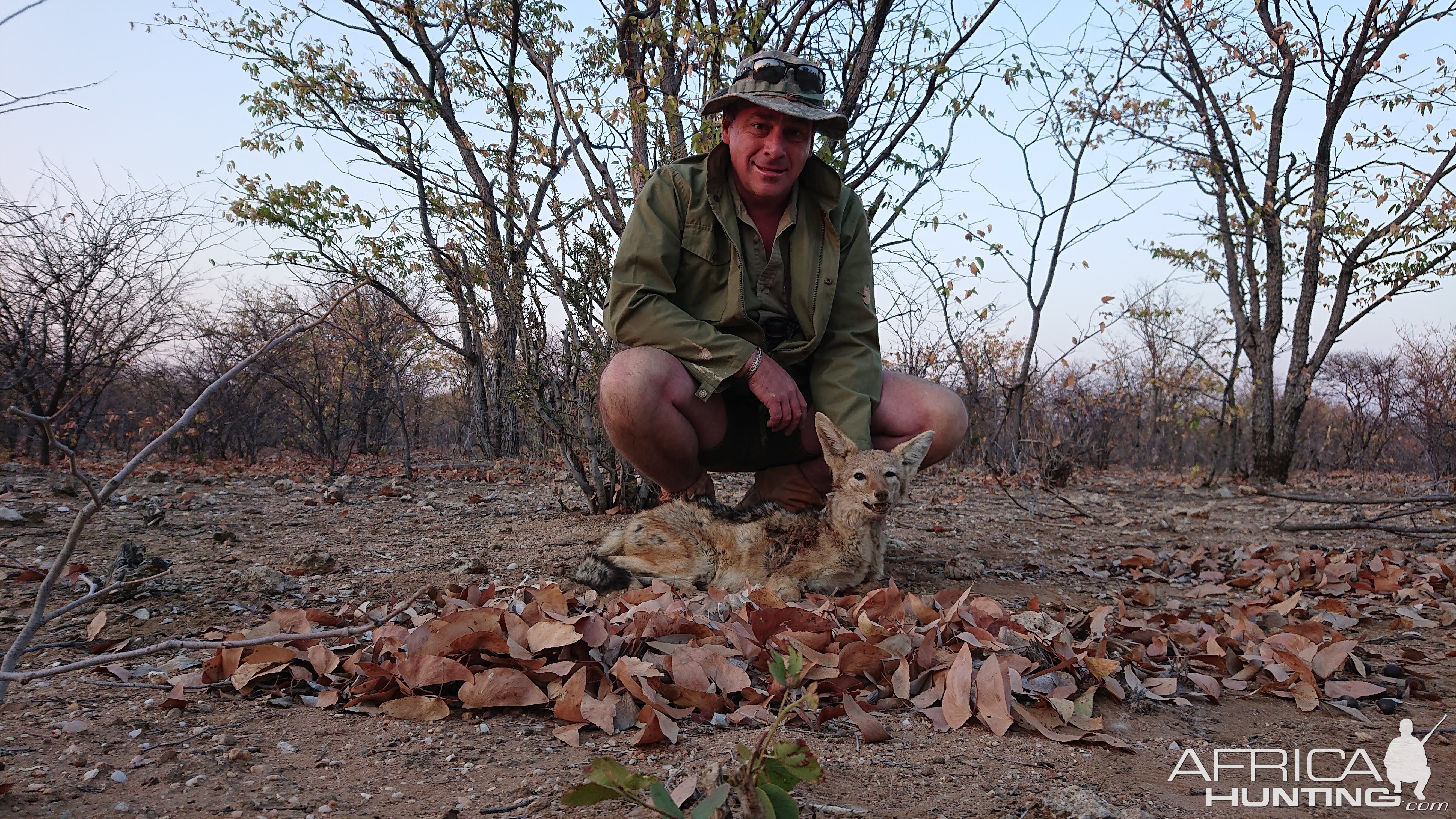 Jackal Hunting Namibia