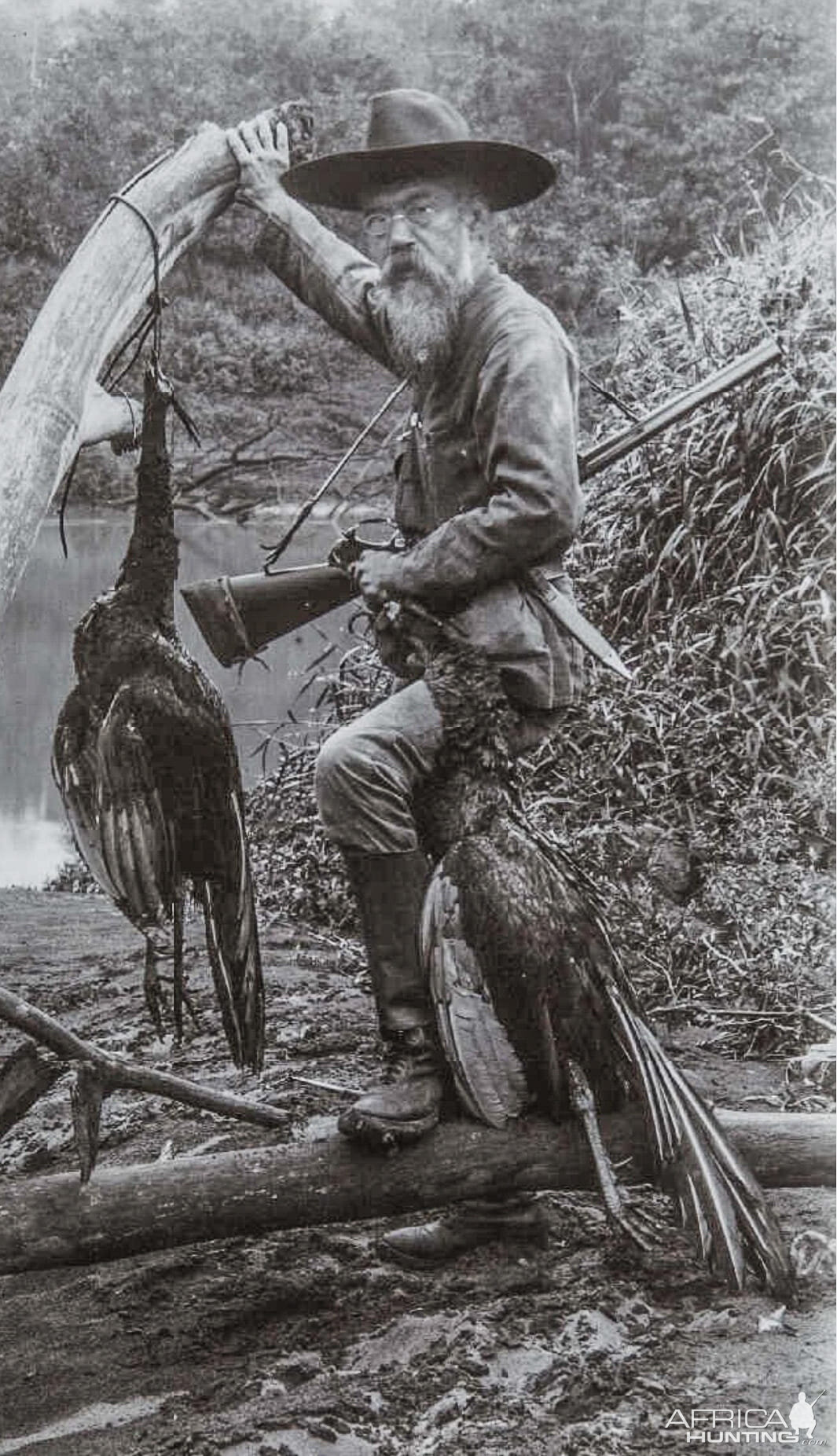 Javan Green Peacock Hunt Indonesia