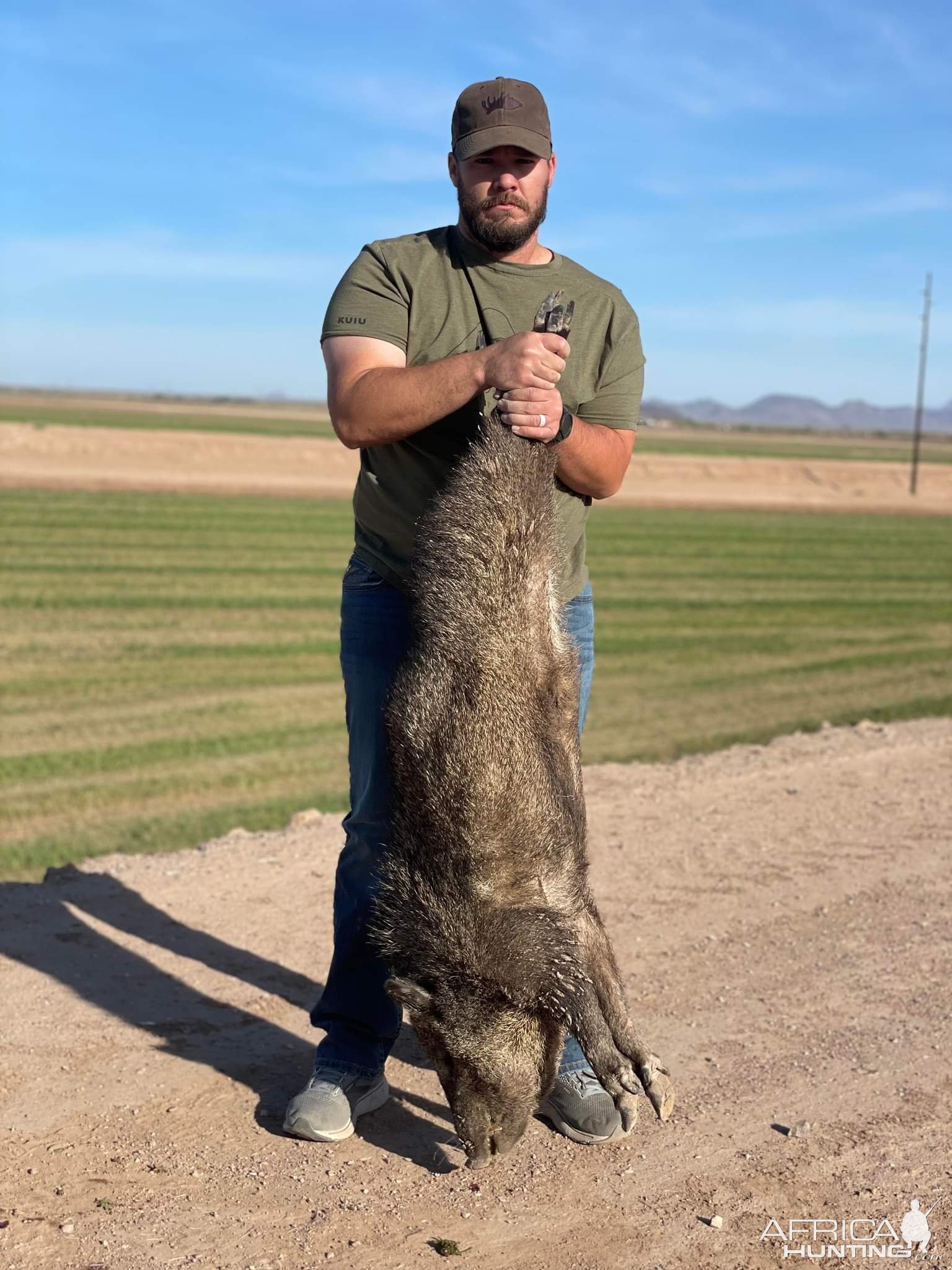 Javelina Hunt  Arizona