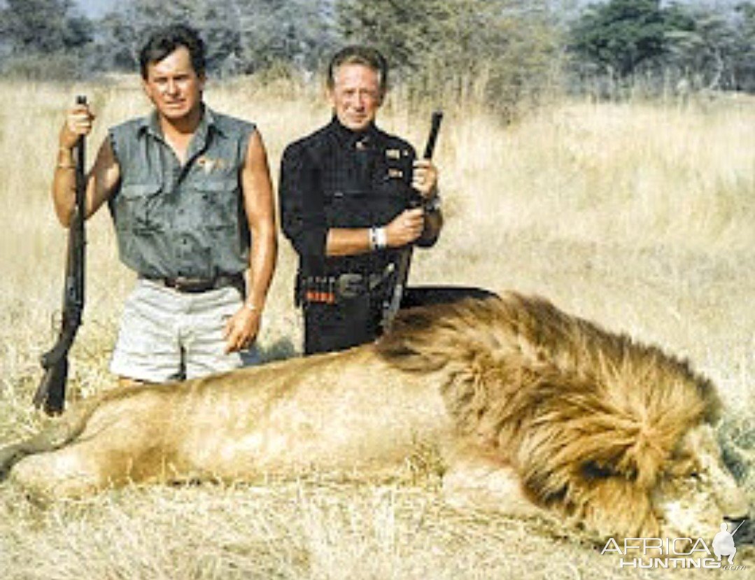 Jeff Rann and client Steve Chancellor with a beautiful lion-Okavango Delta, Botswana