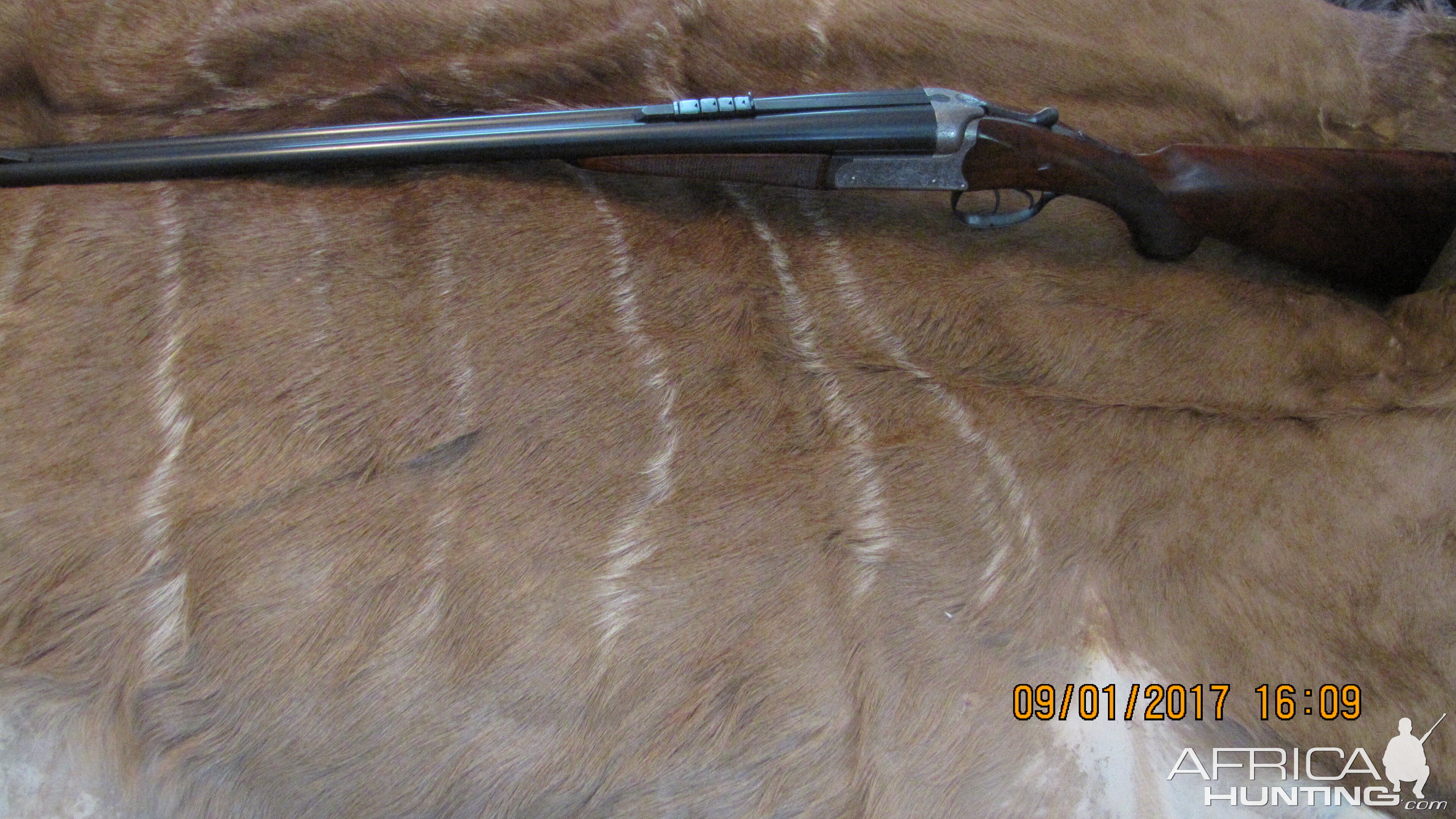 Jeffery and Son Double Rifle chambered in 450 Nitro No 2