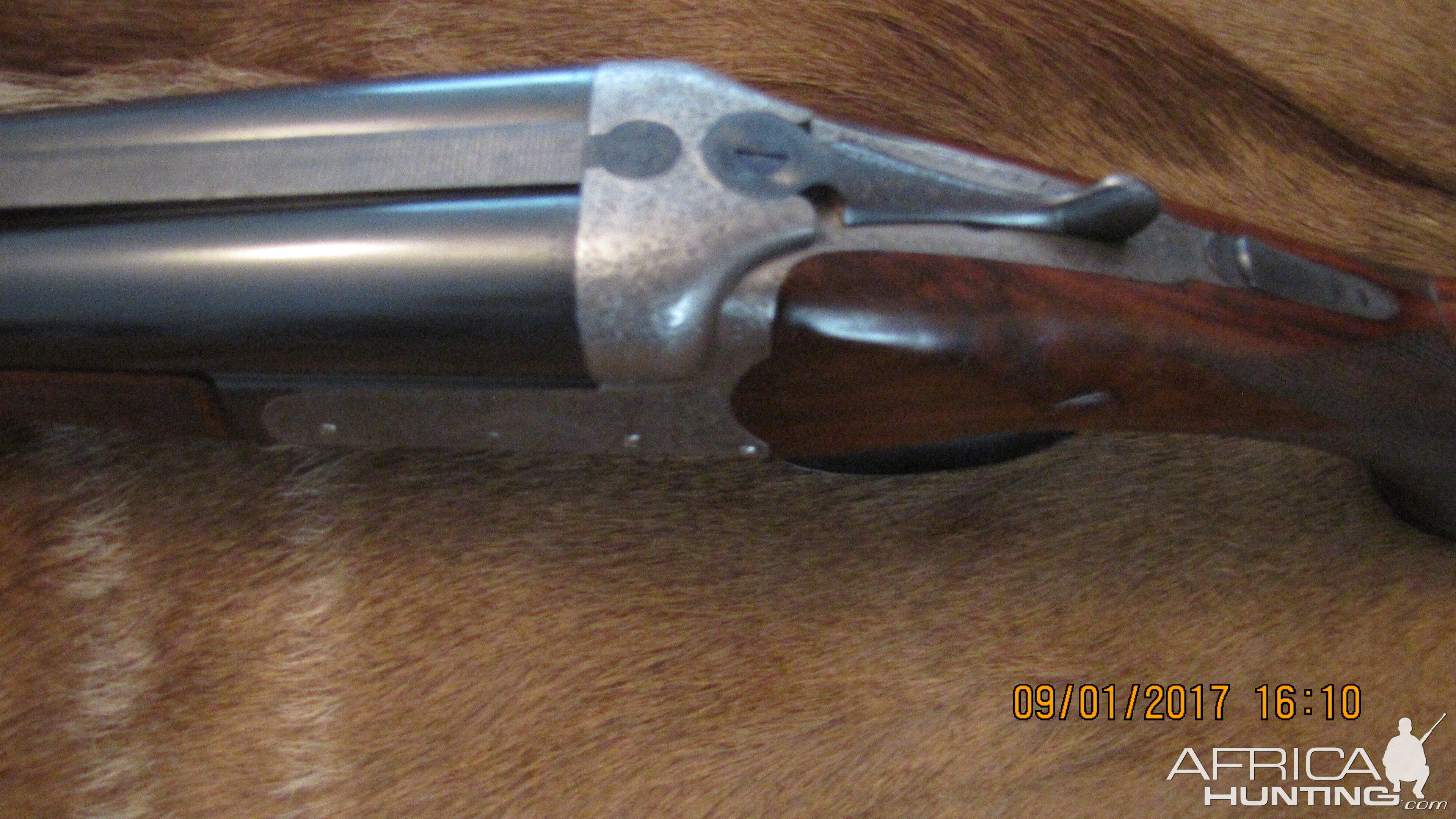 Jeffery and Son Double Rifle chambered in 450 Nitro No 2