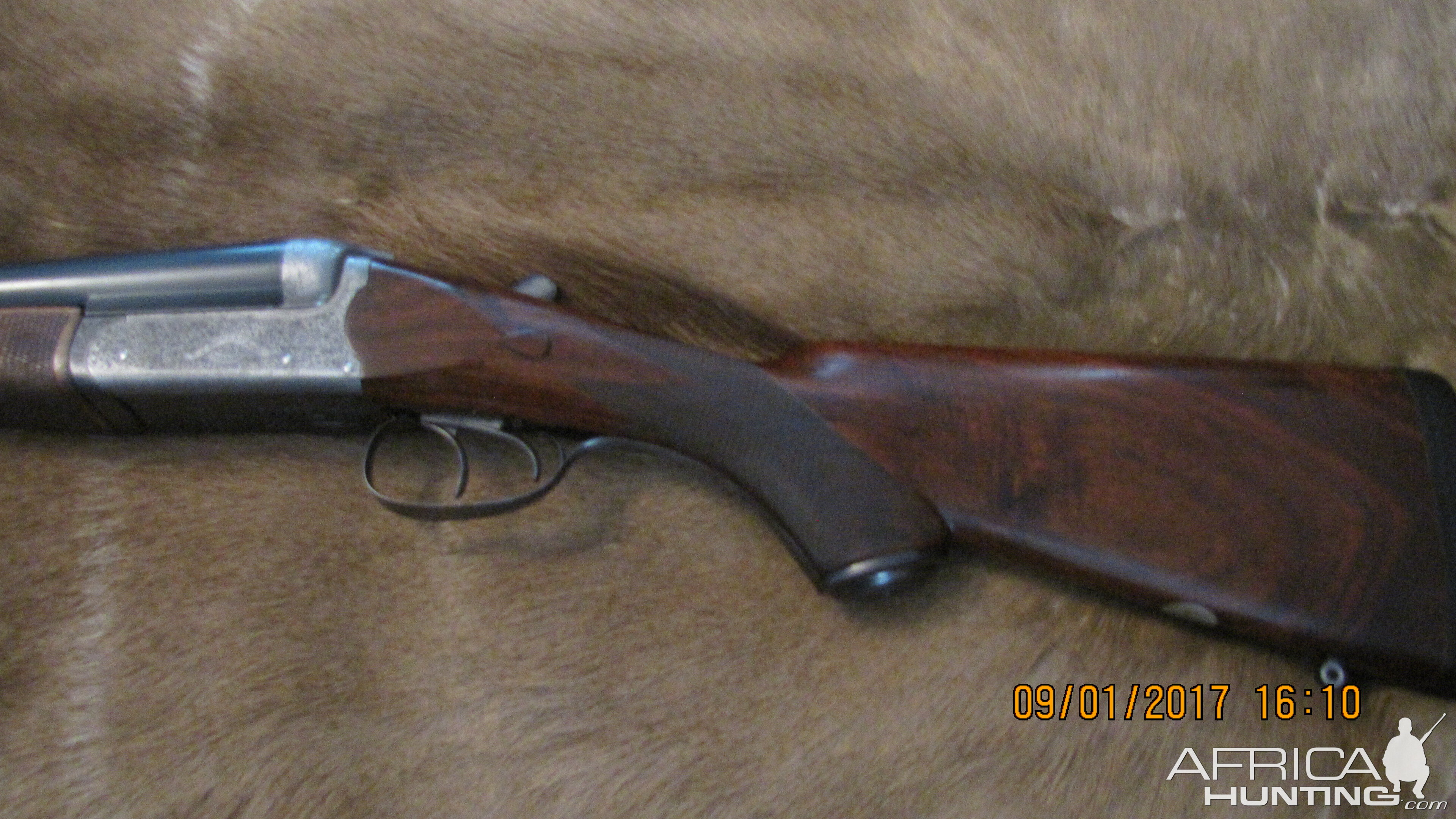 Jeffery and Son Double Rifle chambered in 450 Nitro No 2