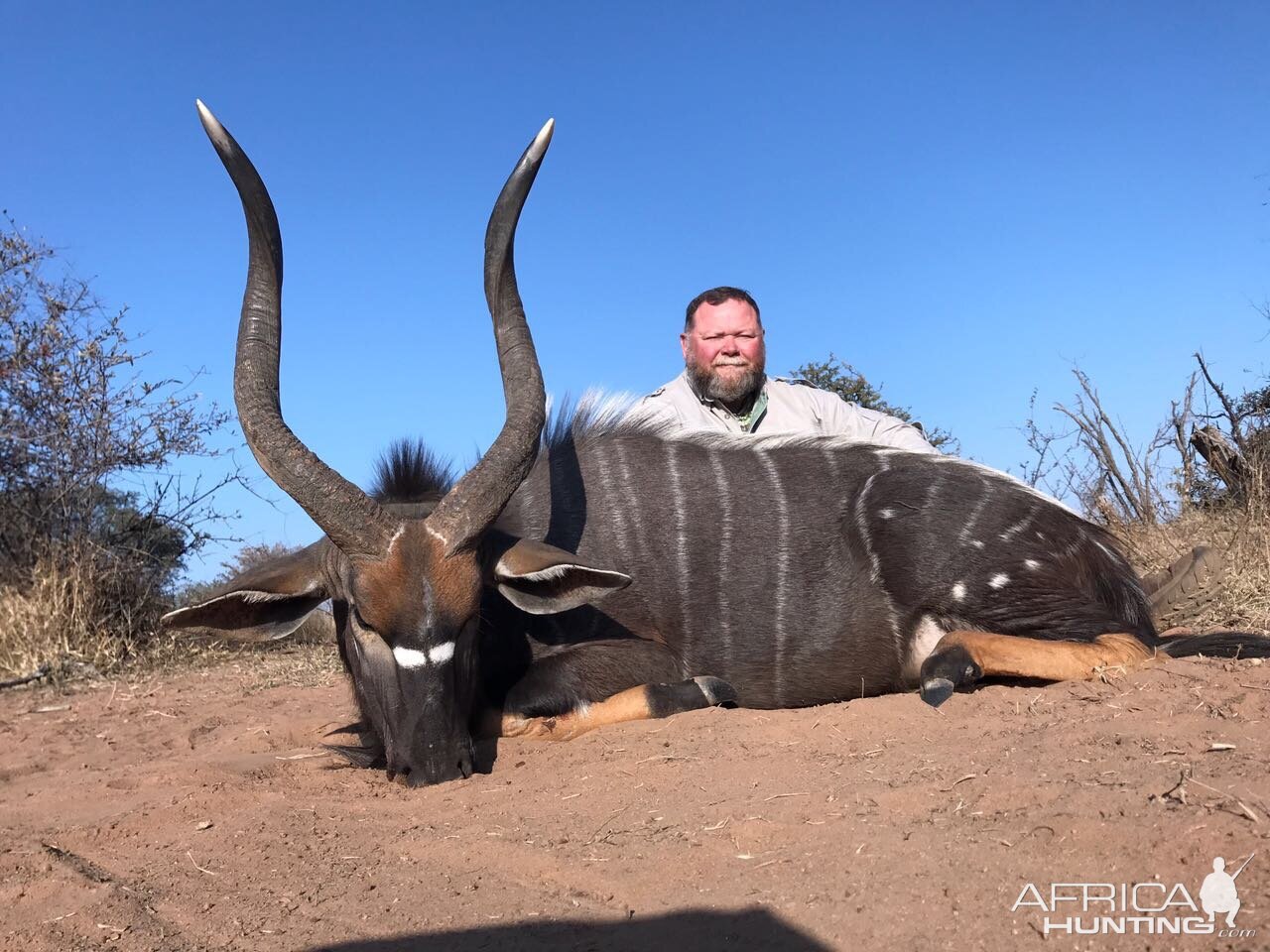 Jerry's beautiful Nyala