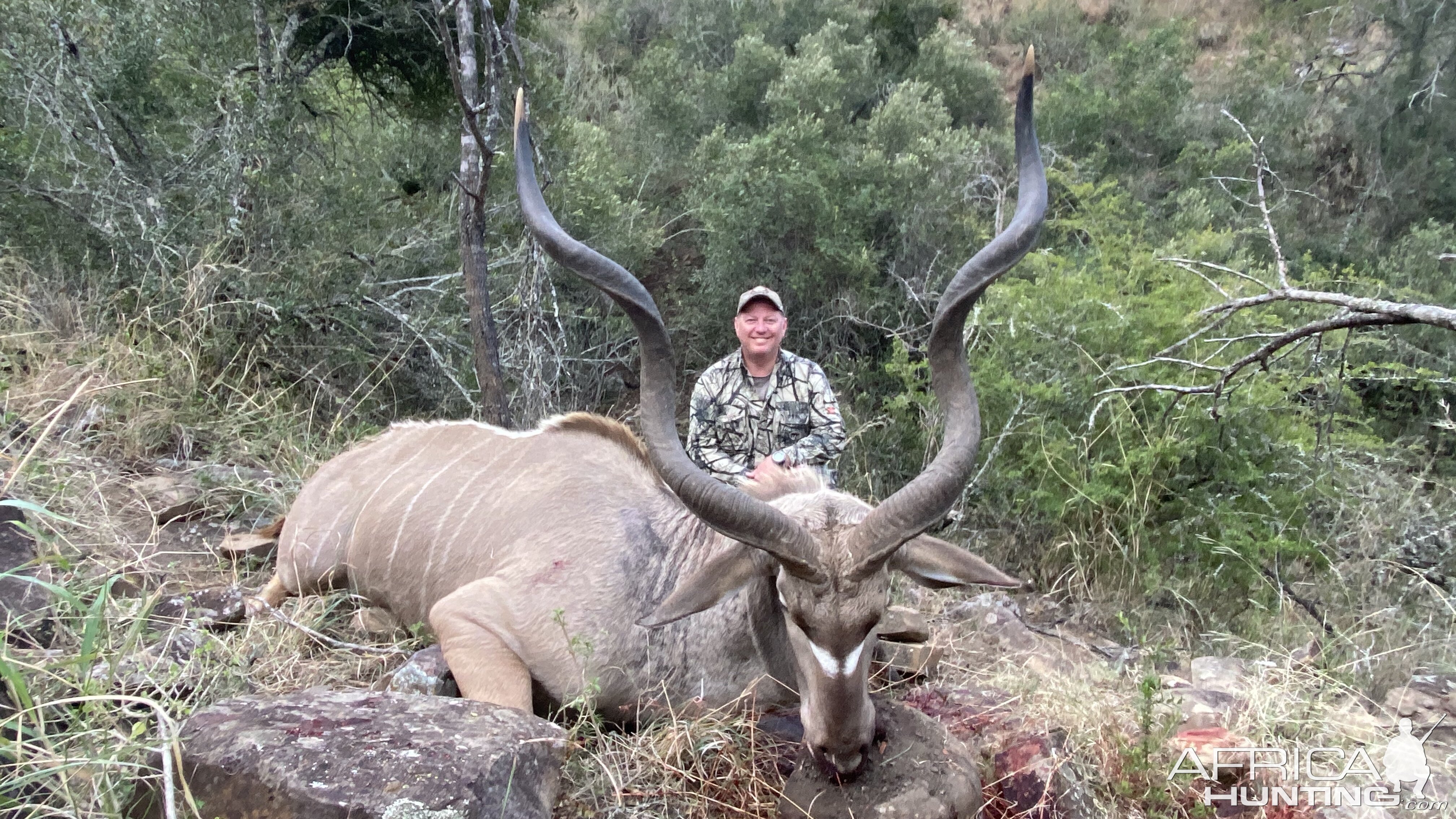 Johan's Kudu 2020