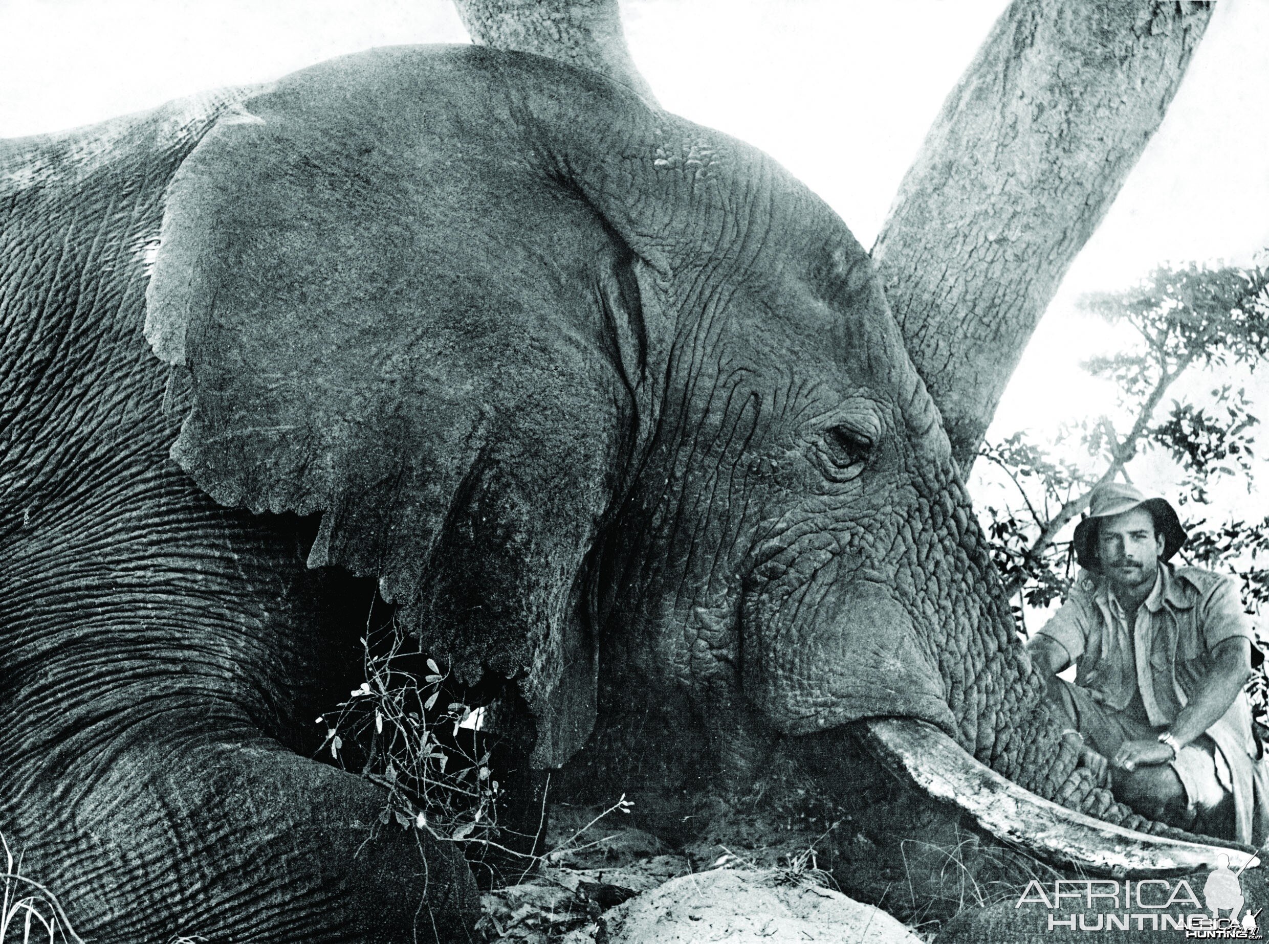 Jorge Alves de Lima with Elephant