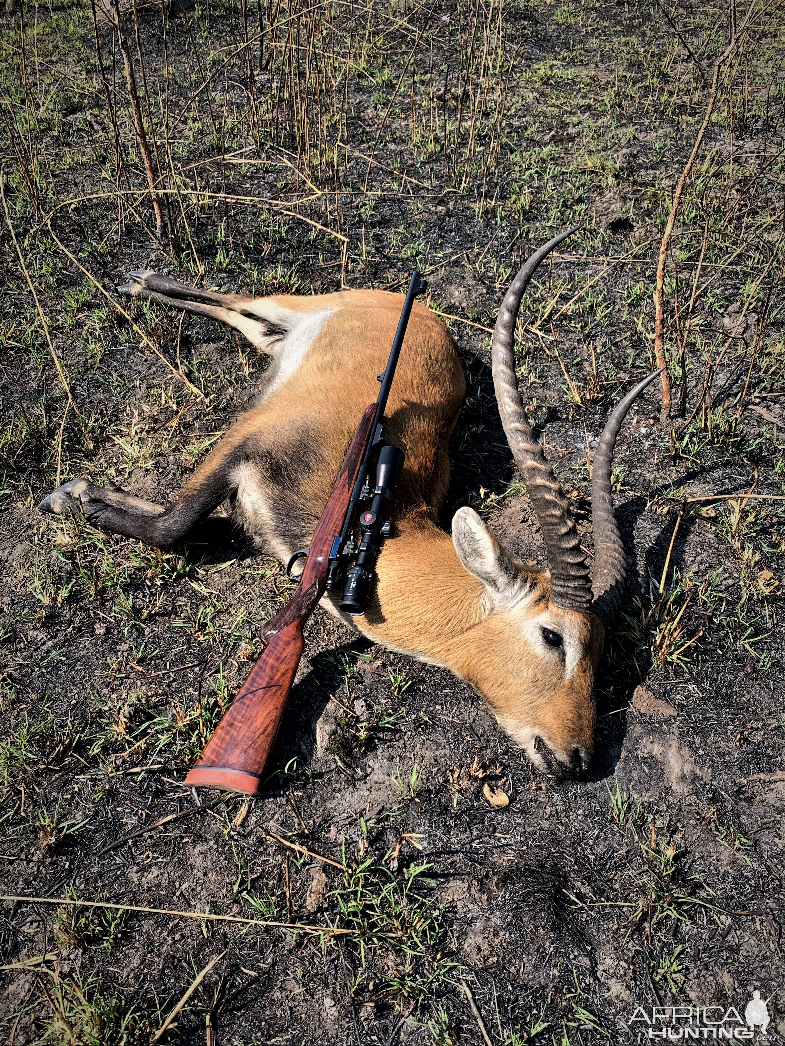 Kafue Lechwe Hunt Zambia