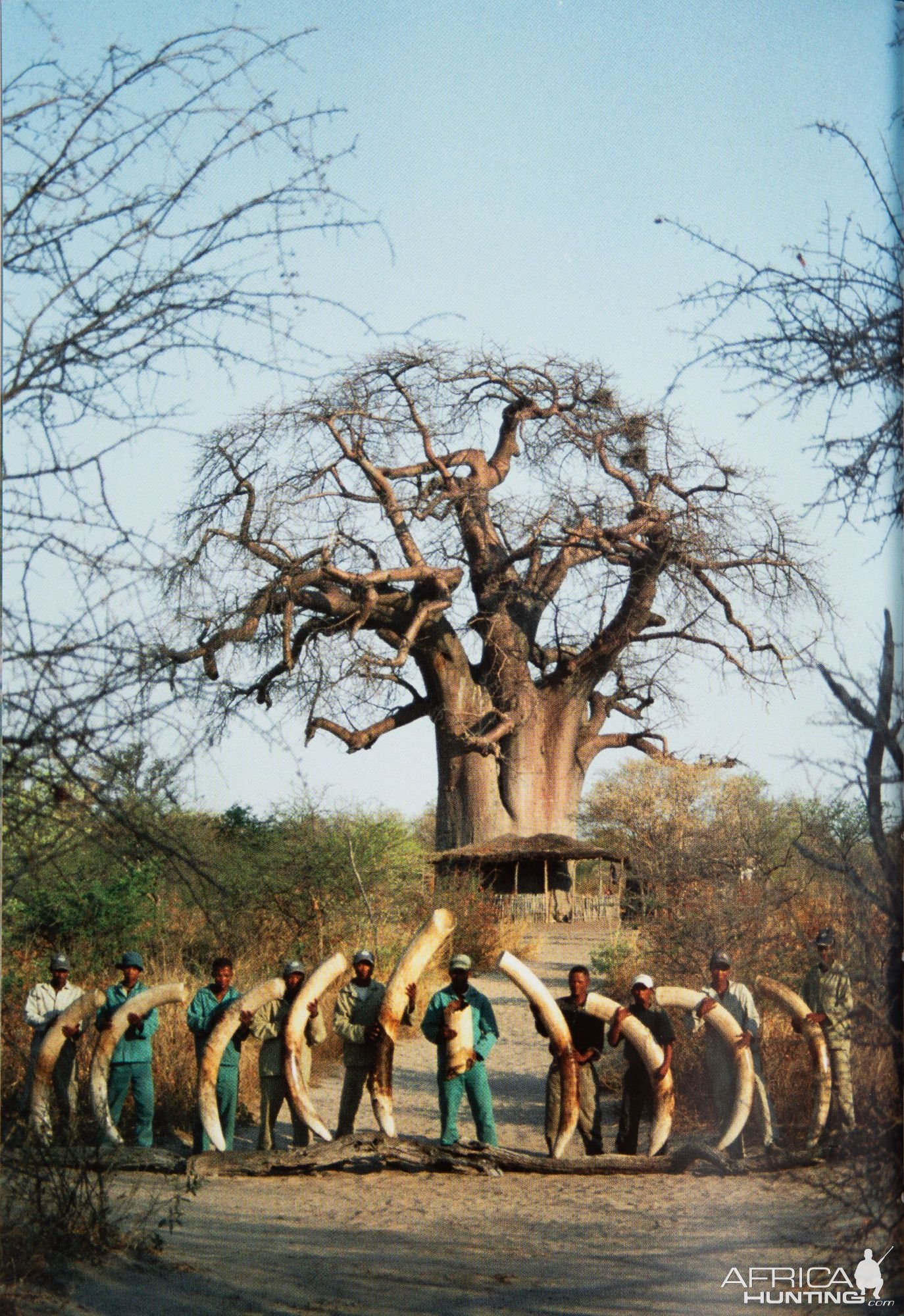 Kai Uwe Denker end of season elephant spread, 115-pounder in the middle-Nyae Nyae Conservancy, Namibia