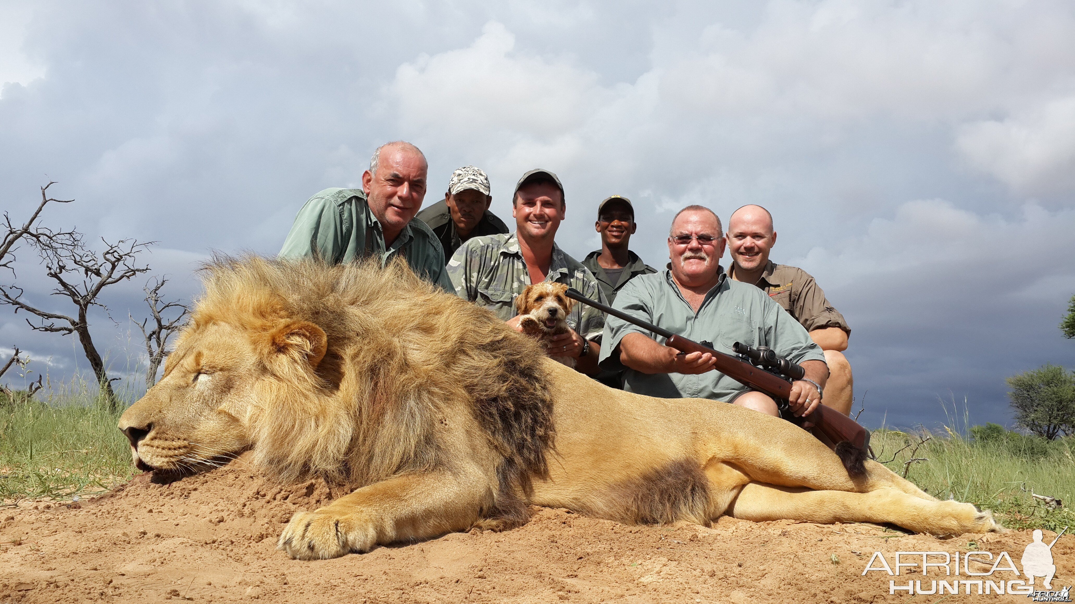 Kalahari lion team foto