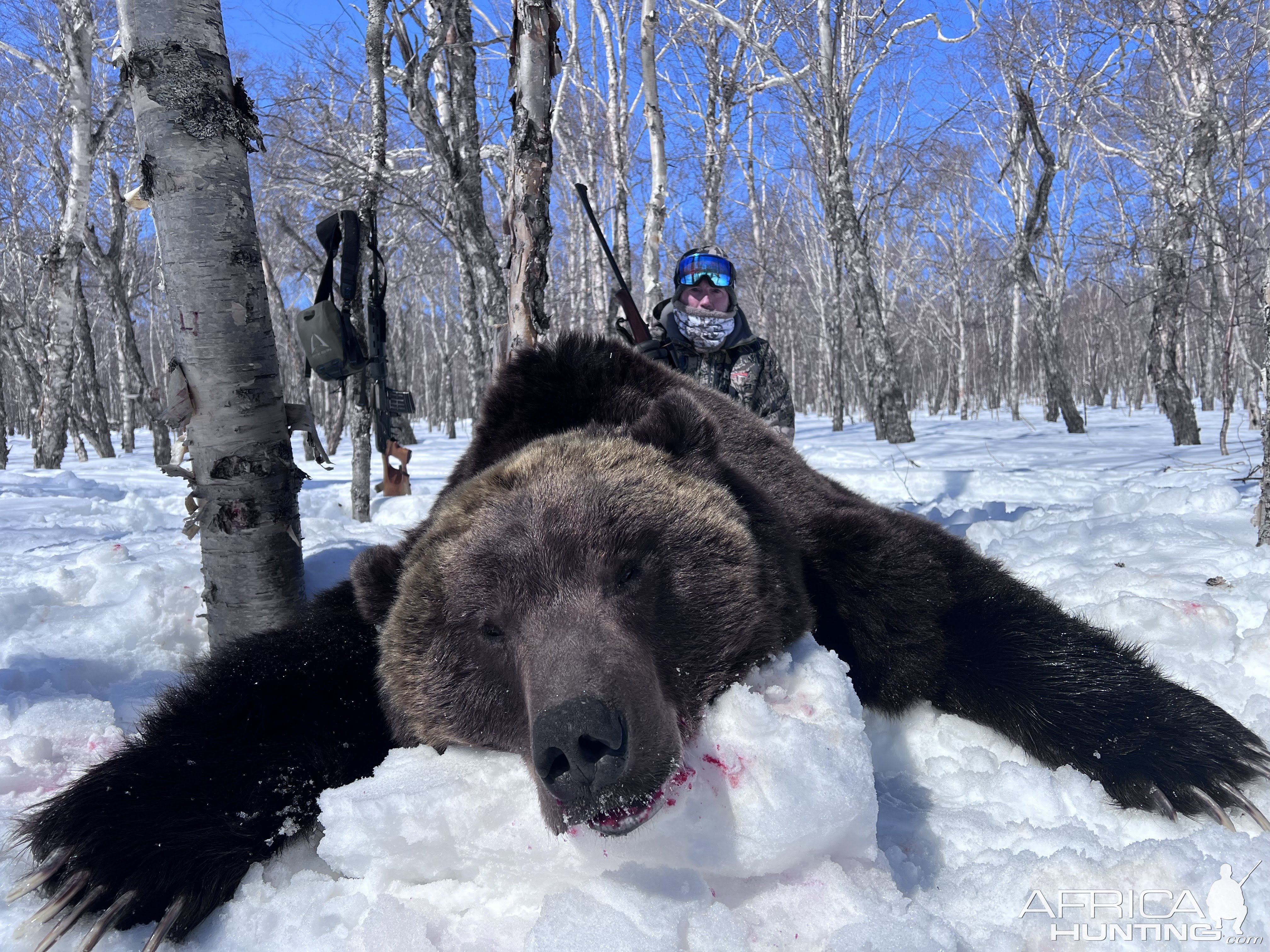 Kamchatka Brown Bear Hunt Russia