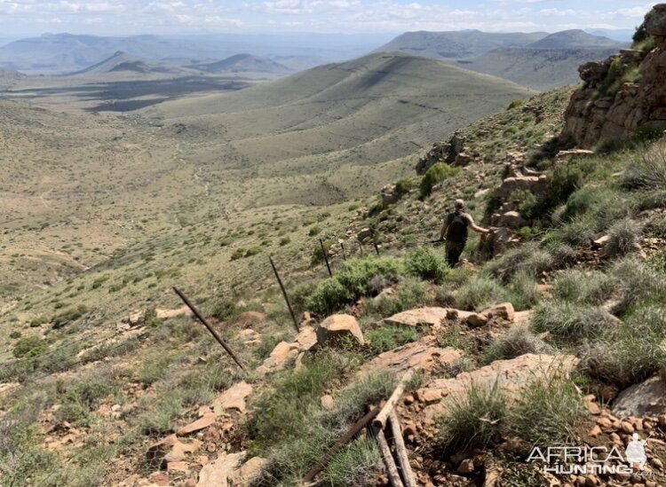 Karoo Hunting Area South Africa