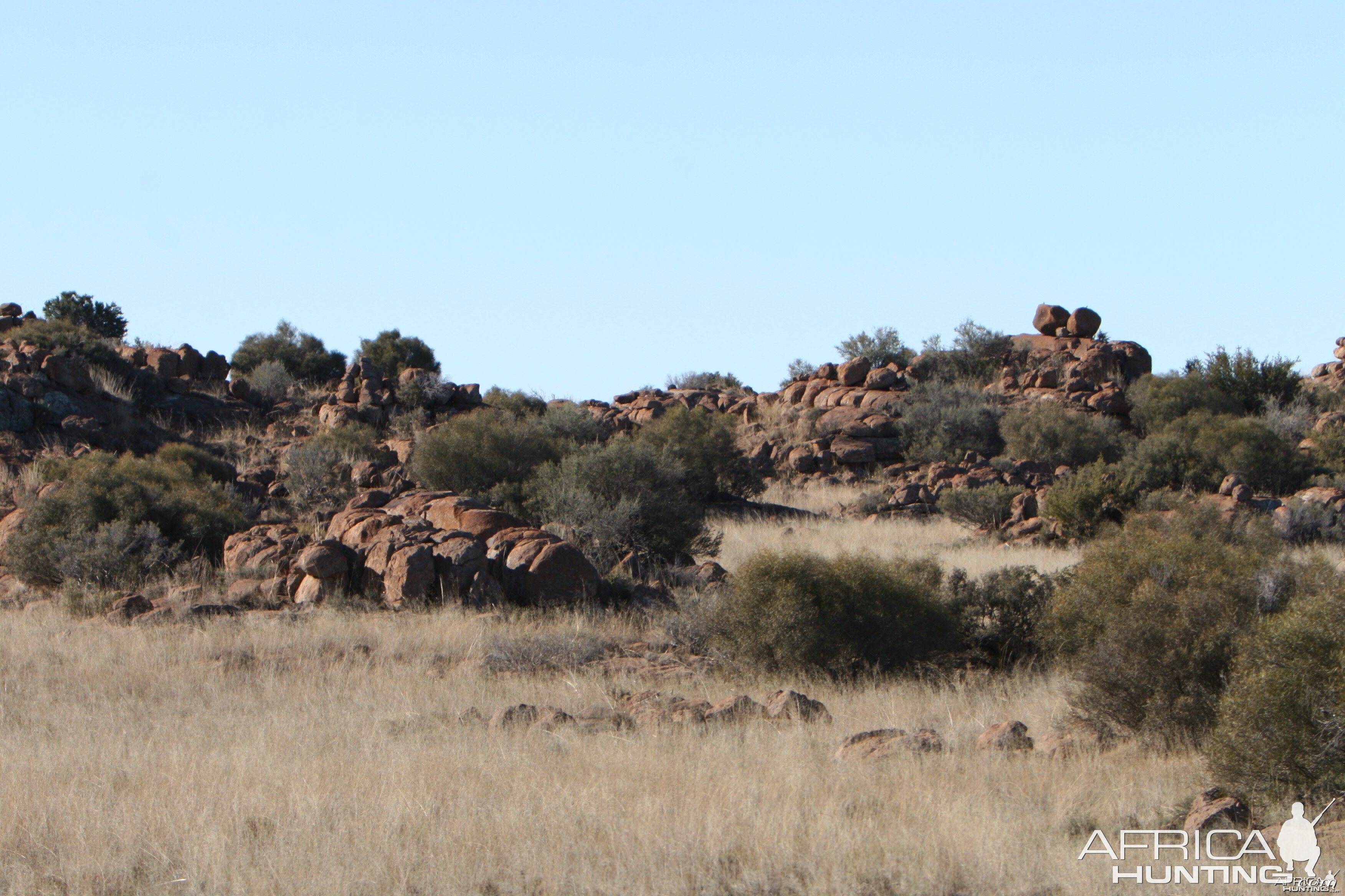 Karoo Rock Erratics