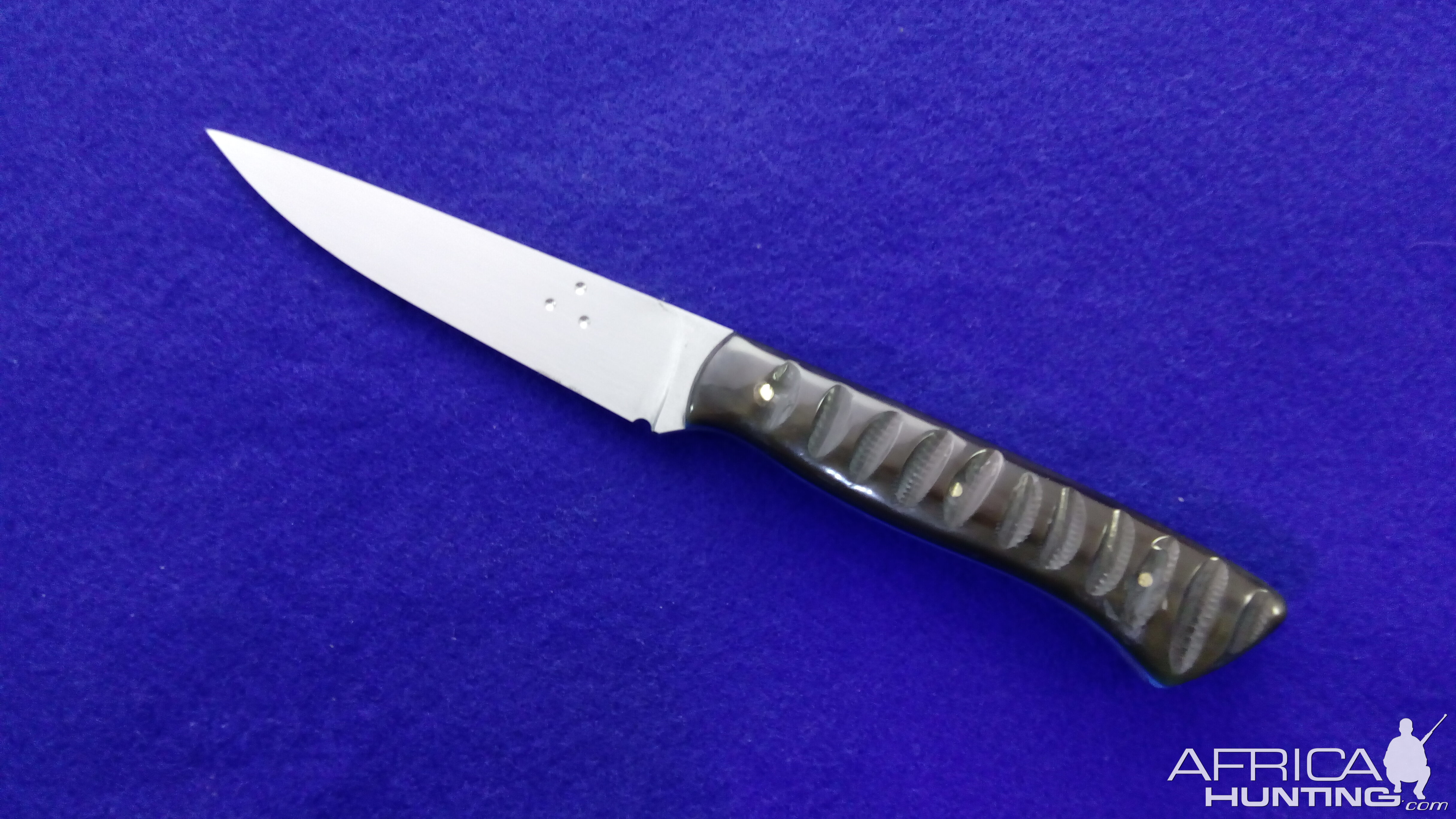 Kitchen Petty Knife
