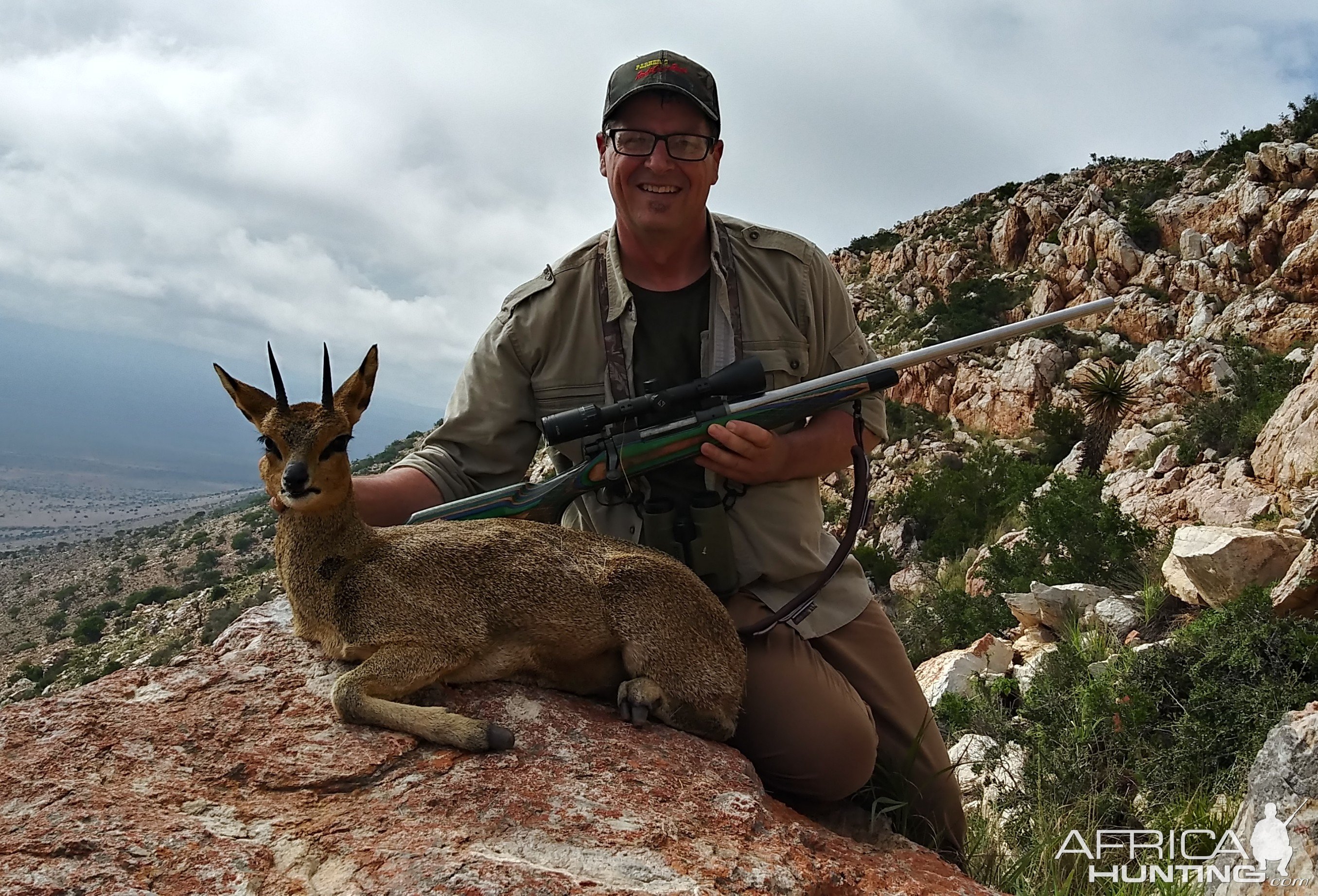 Klipspringer Hunting Karoo South Affrica