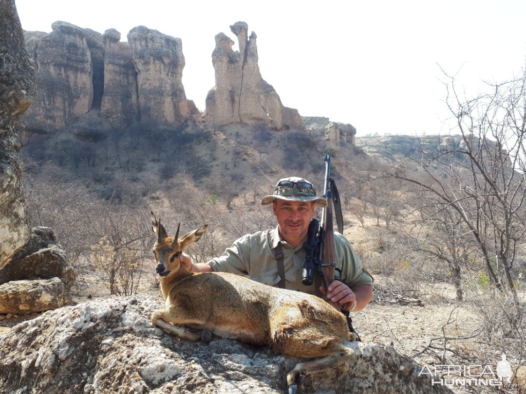 Klipspringer Hunting Namibia