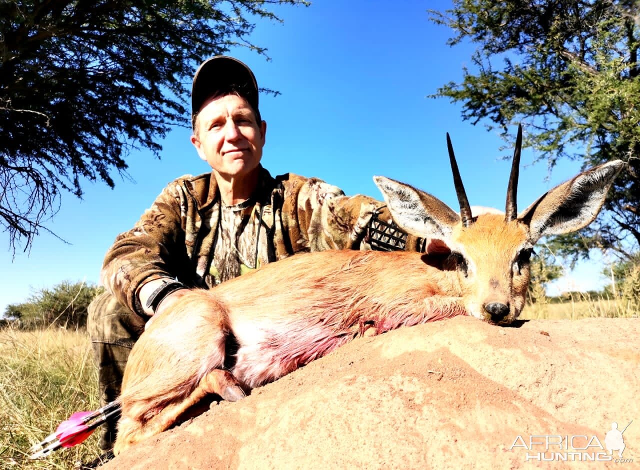 Klipspringer Hunting South Africa