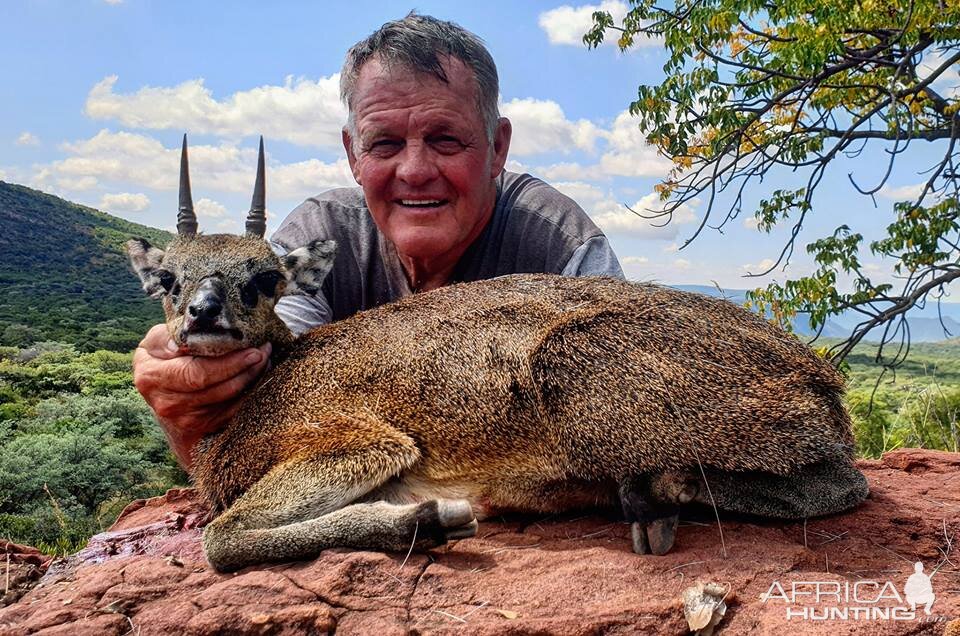 Klipspringer Hunting South Africa