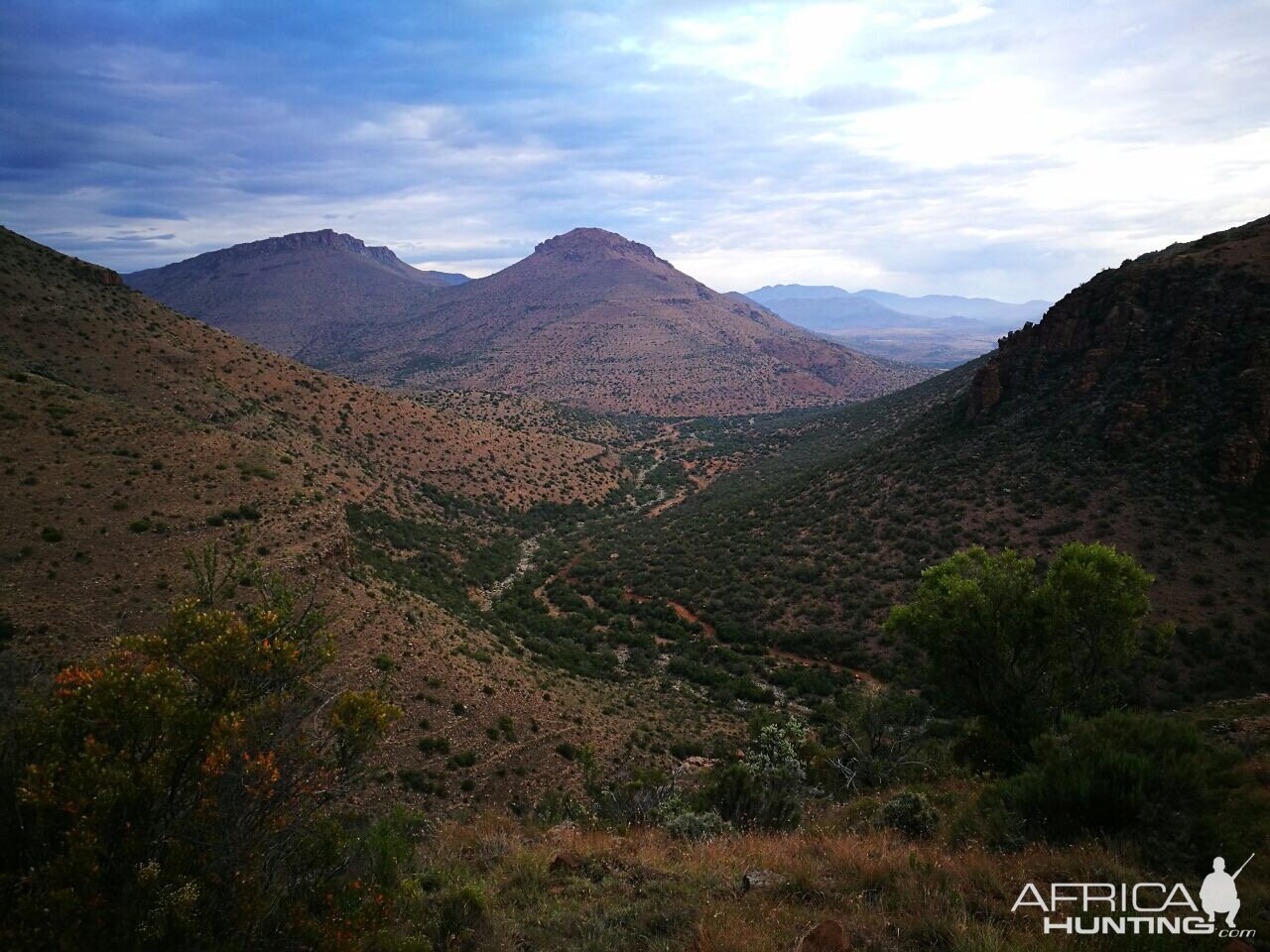 Klipspringer & Vaal Rhebok Hunting South Africa