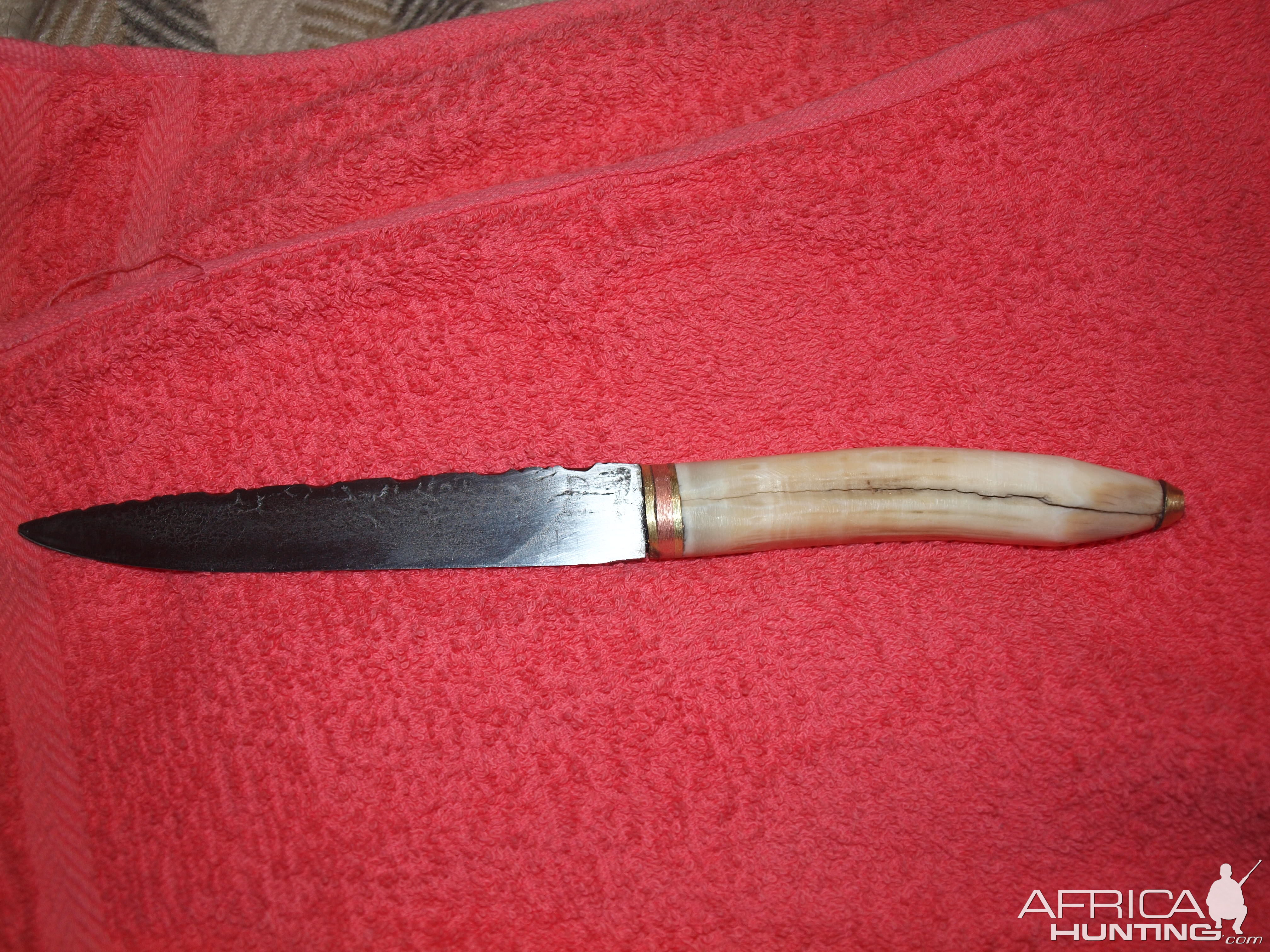 Knife with Hippo tooth as a handle