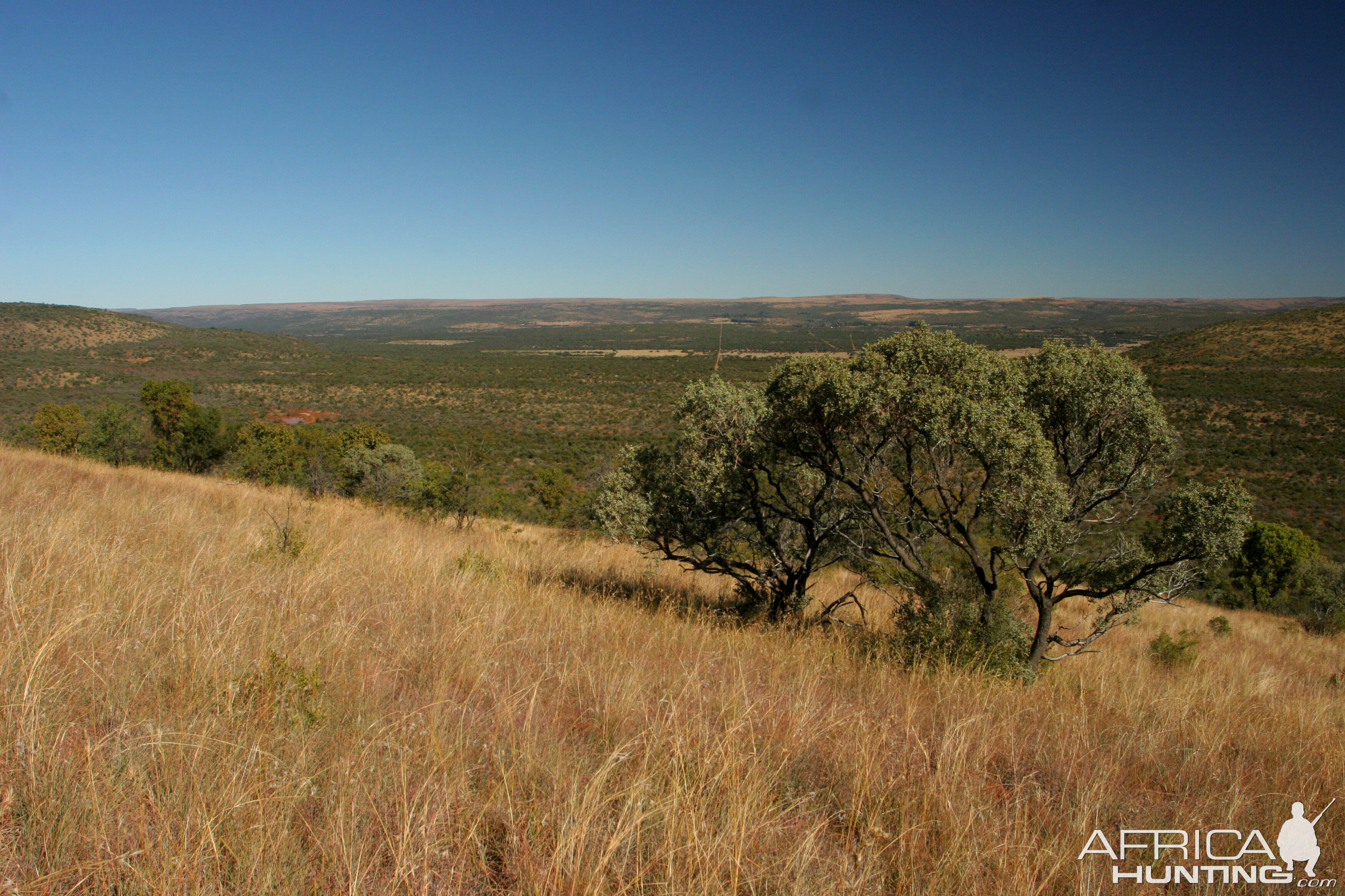 Koedoeberg South Africa