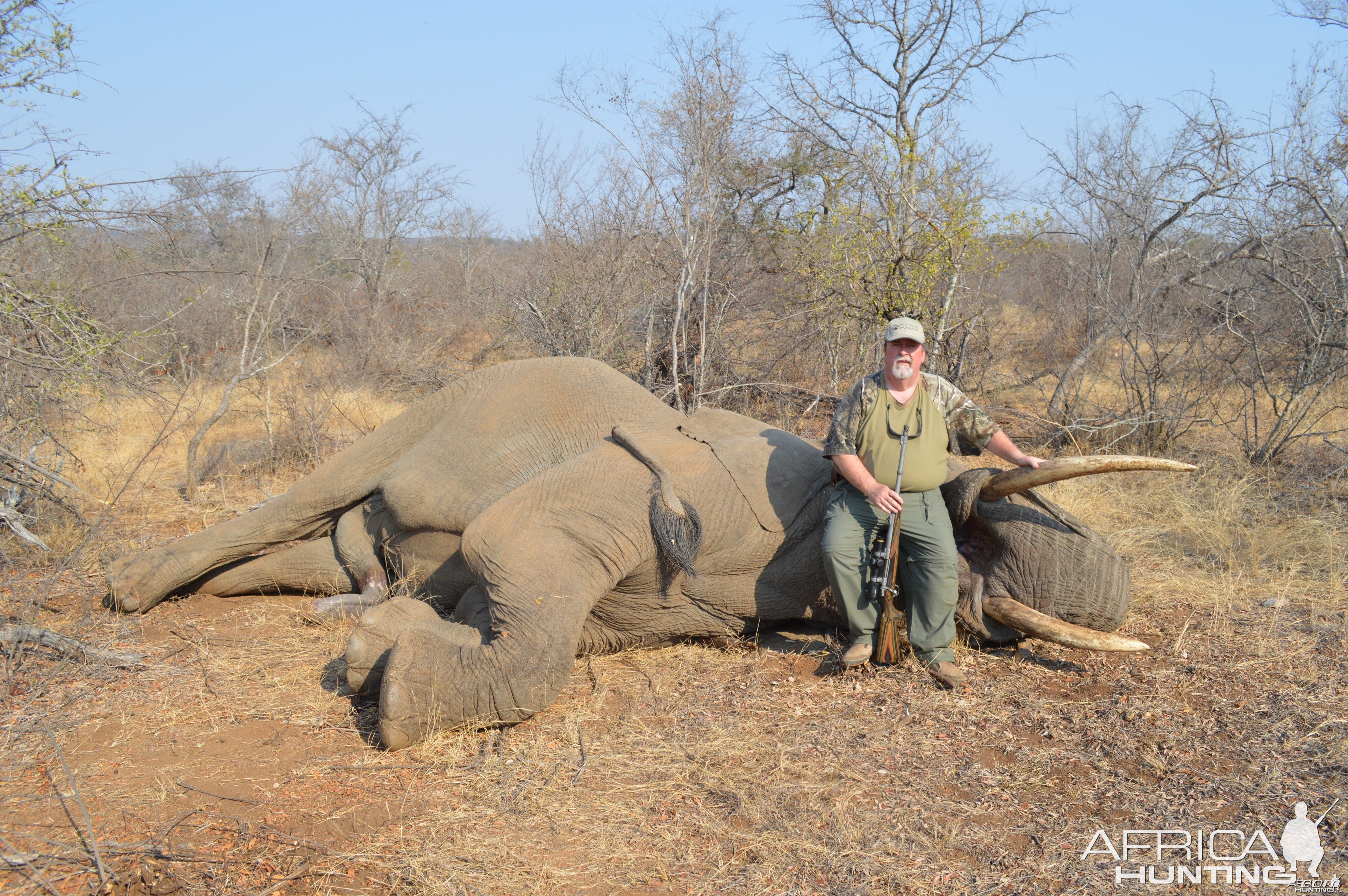 Kruger area bull and me