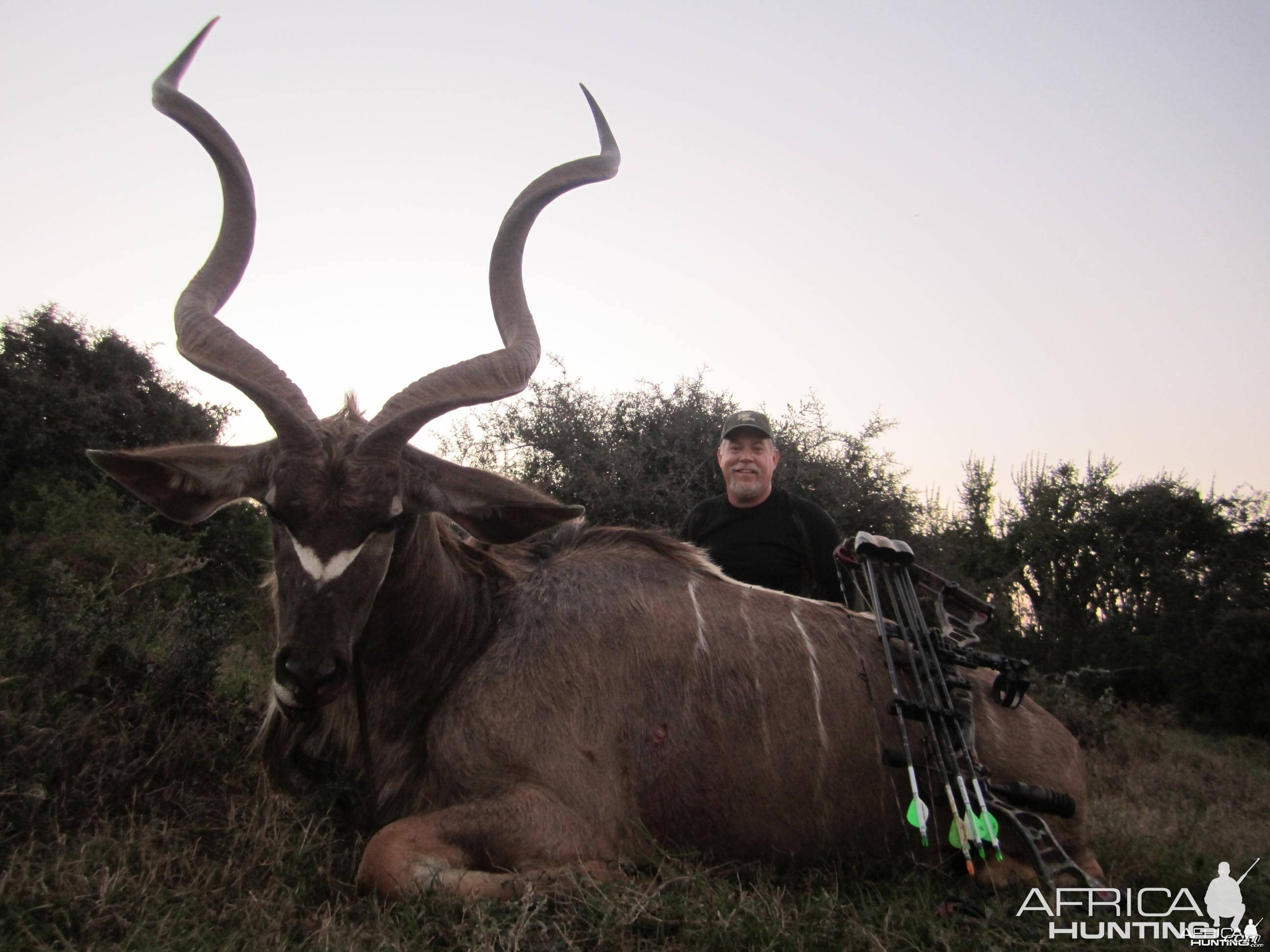 Kudu at Induna Safari