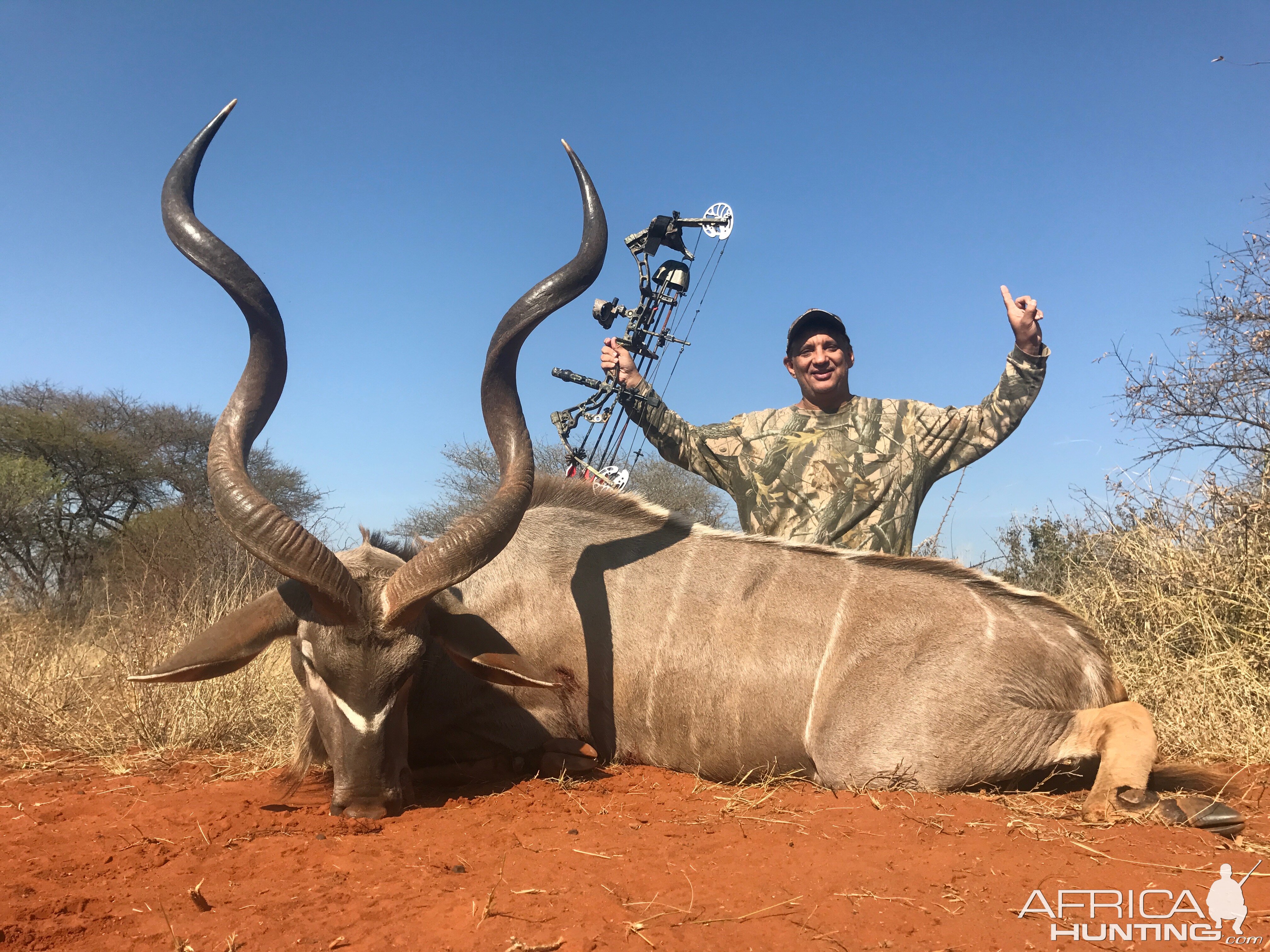 Kudu Bow Hunting South Africa