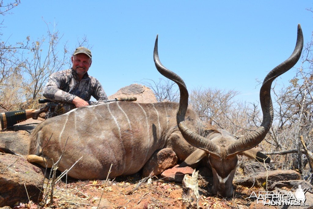 Kudu bull - 54" -Namibia