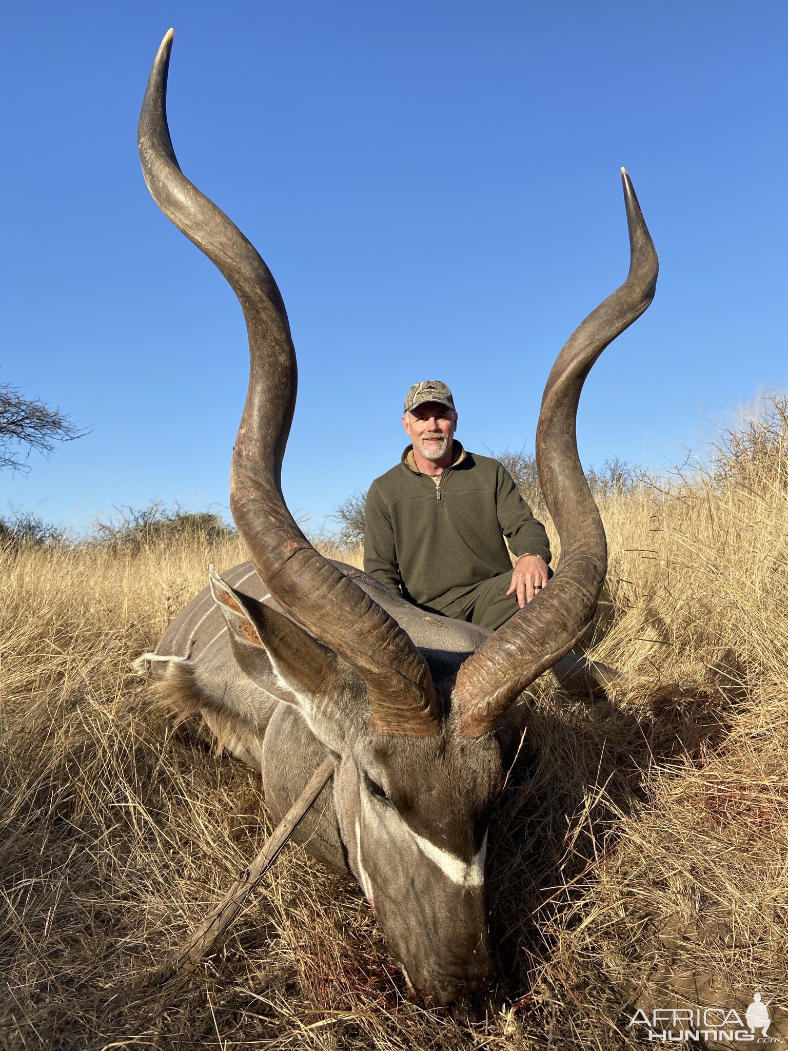 Kudu Bull Hunt South Africa