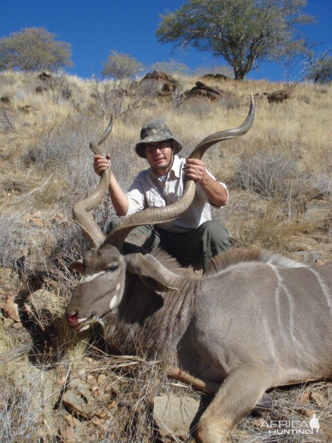 Kudu bull Kommas Hochland Namibia