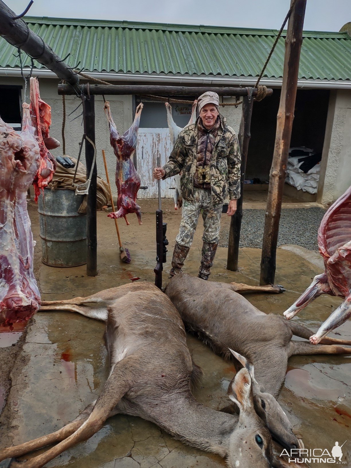 Kudu Cow Hunt South Africa