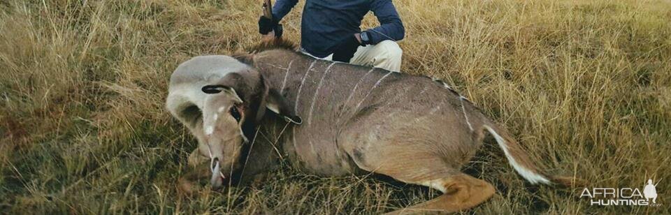 Kudu Cull Hunt in South Africa