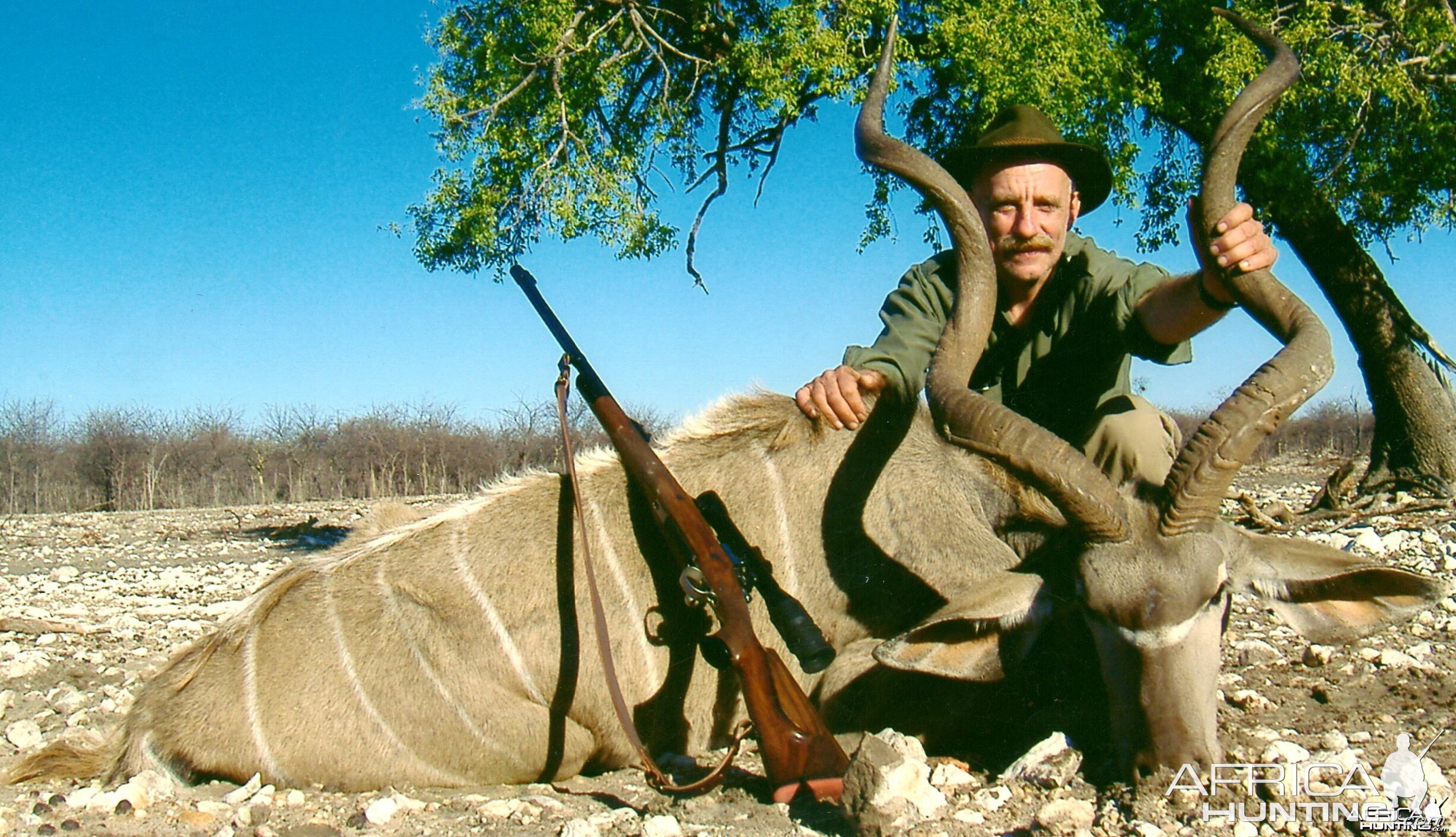 Kudu from Omalanga Safaris Namibia