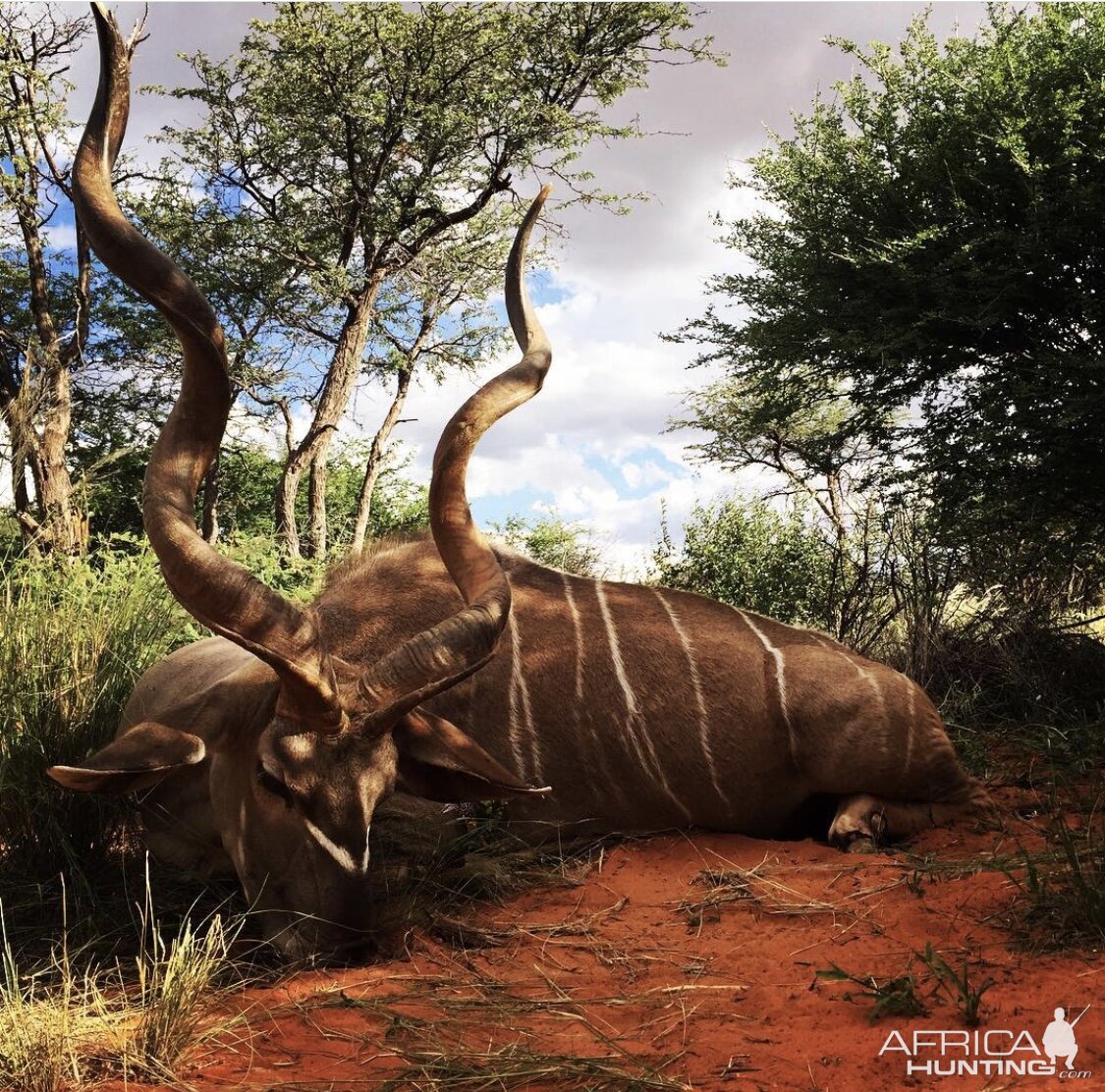 Kudu Guided by Zana Botes