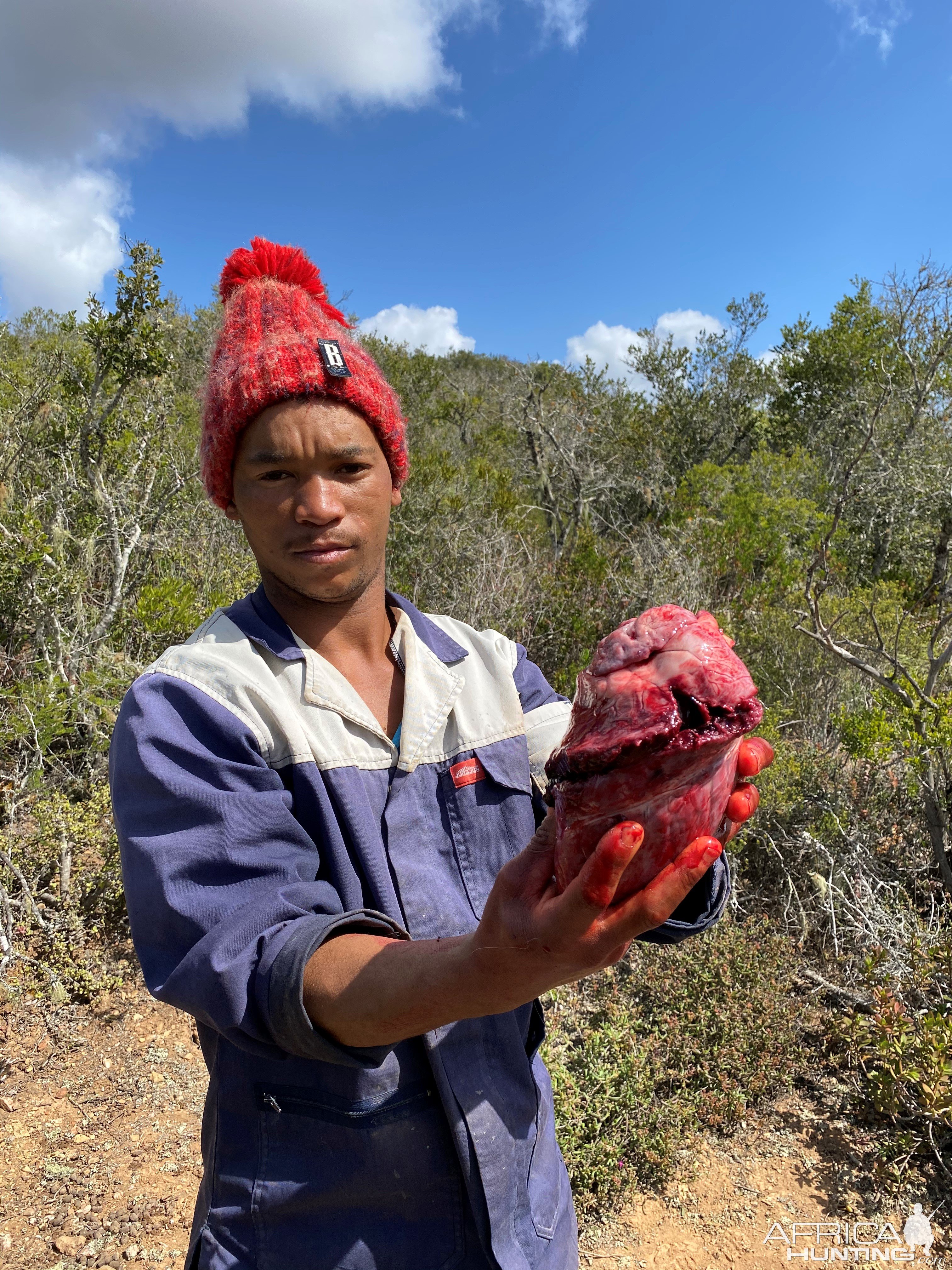 Kudu Heart Shot