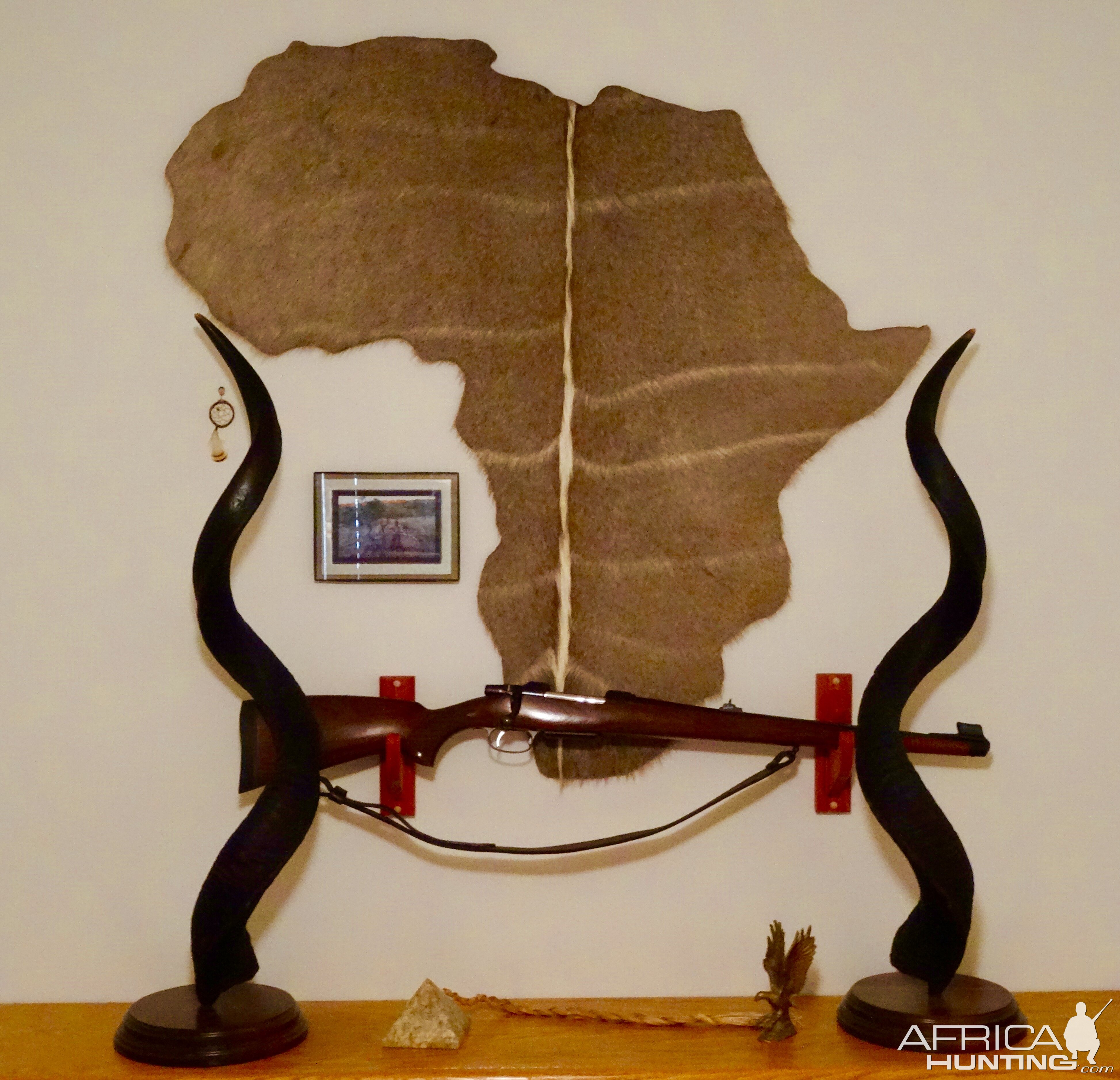 Kudu Horn & Skin Mounts Taxidermy