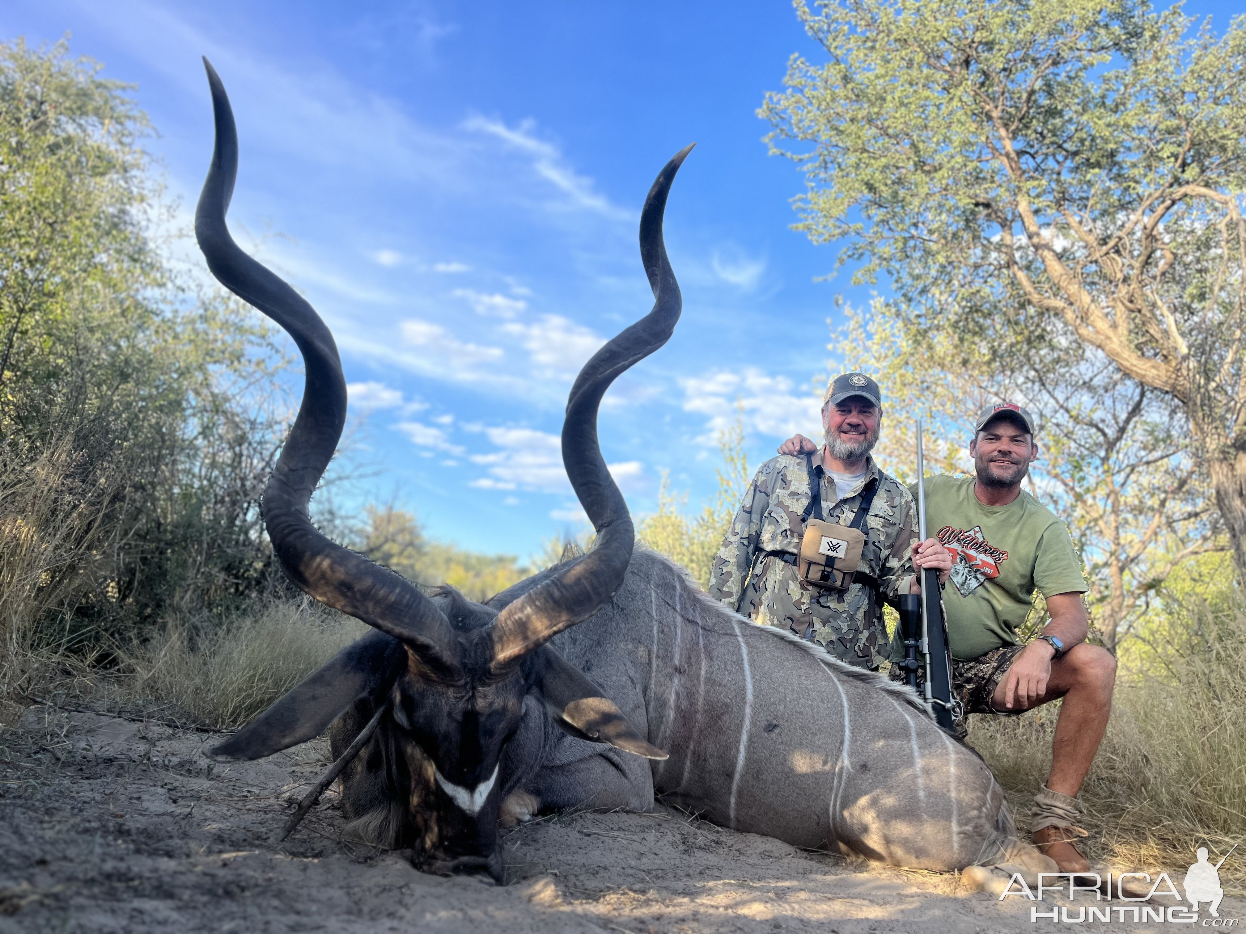 Kudu Hunt Botswana