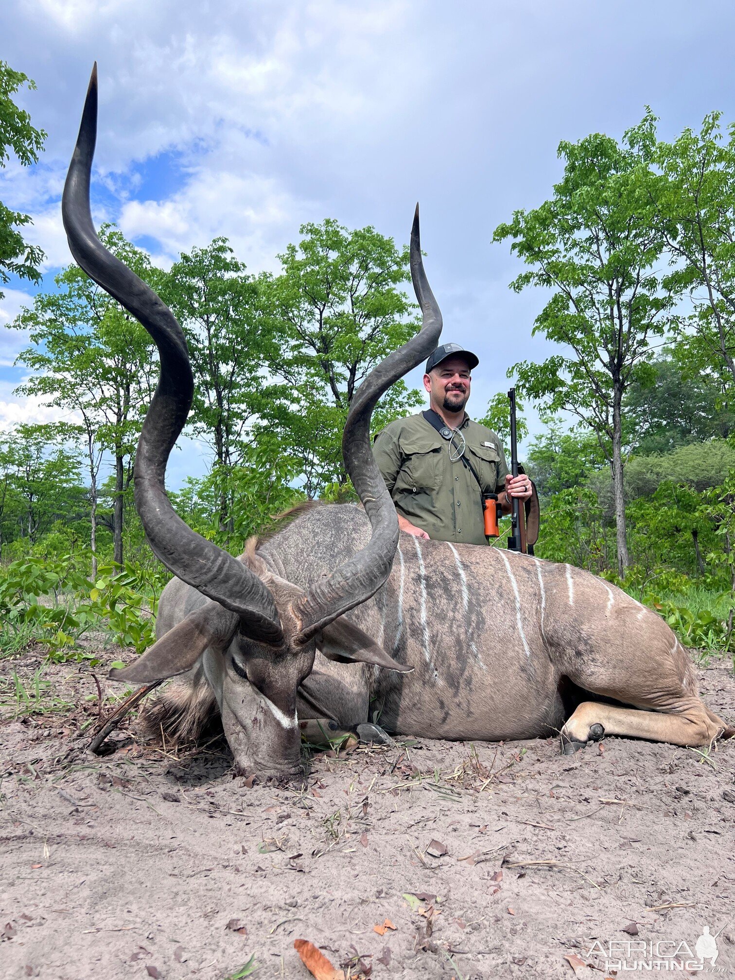 Kudu Hunt Caprivi Namibia