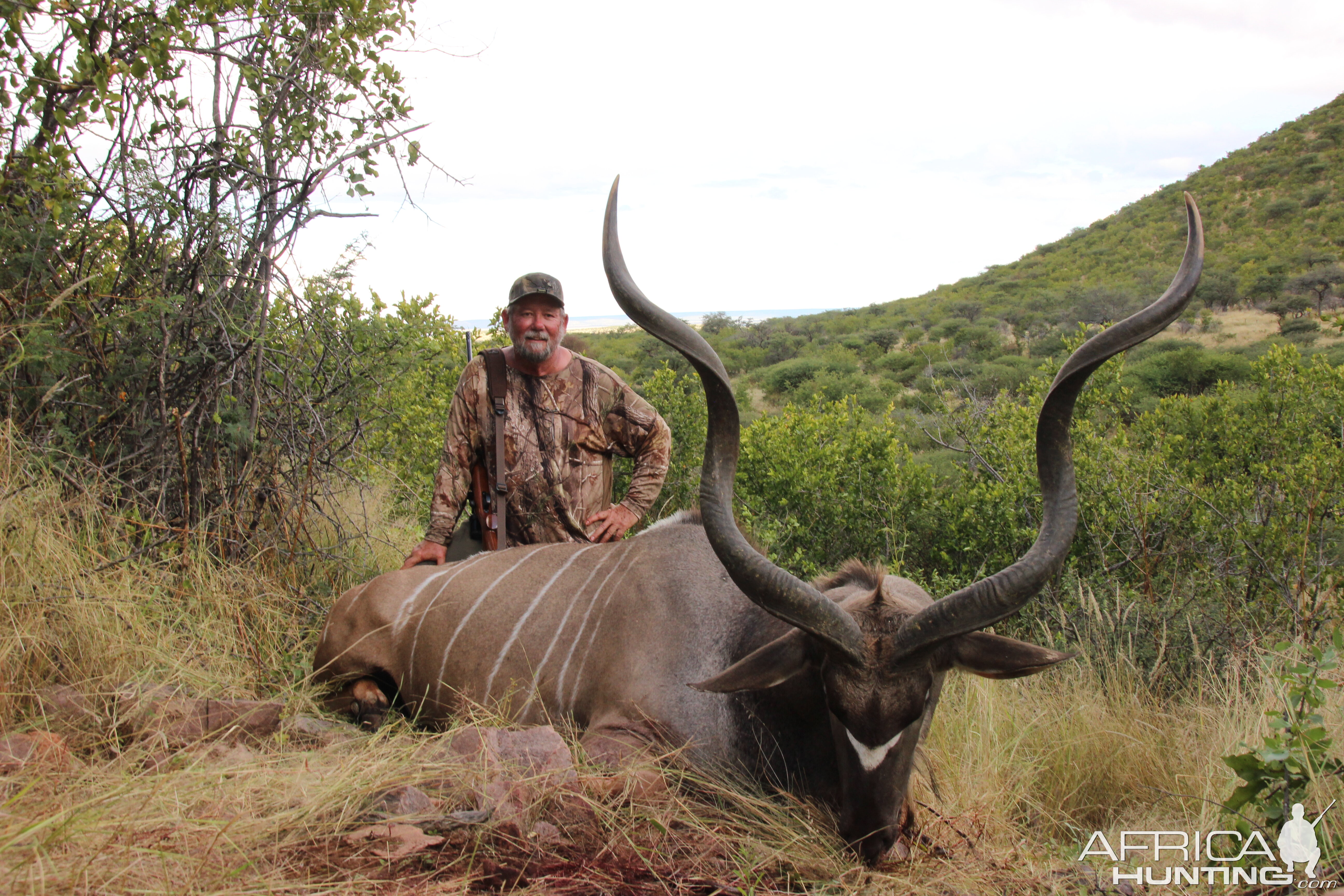 Kudu Hunt in Namibia