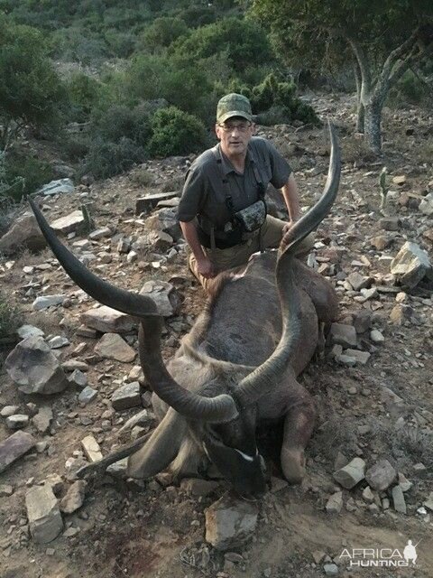 Kudu Hunt in South Africa