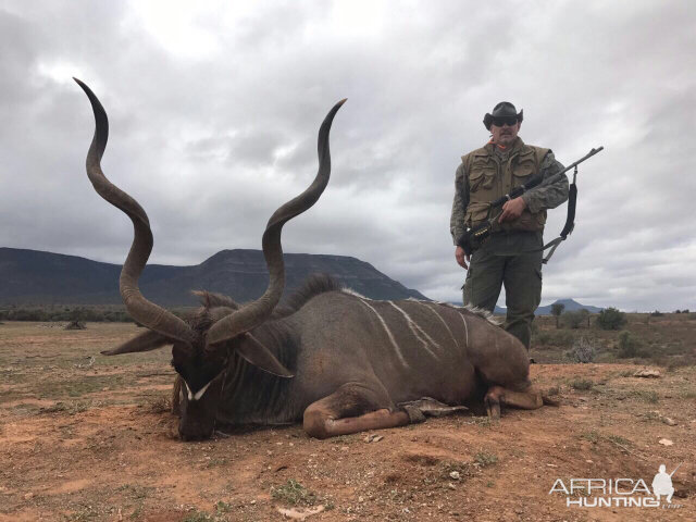 Kudu Hunt in South Africa