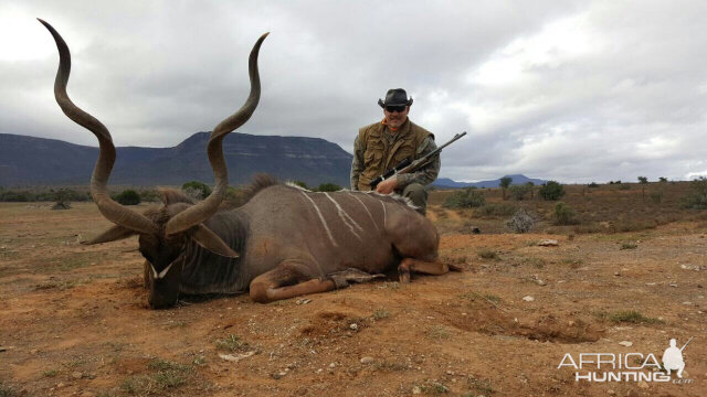 Kudu Hunt in South Africa