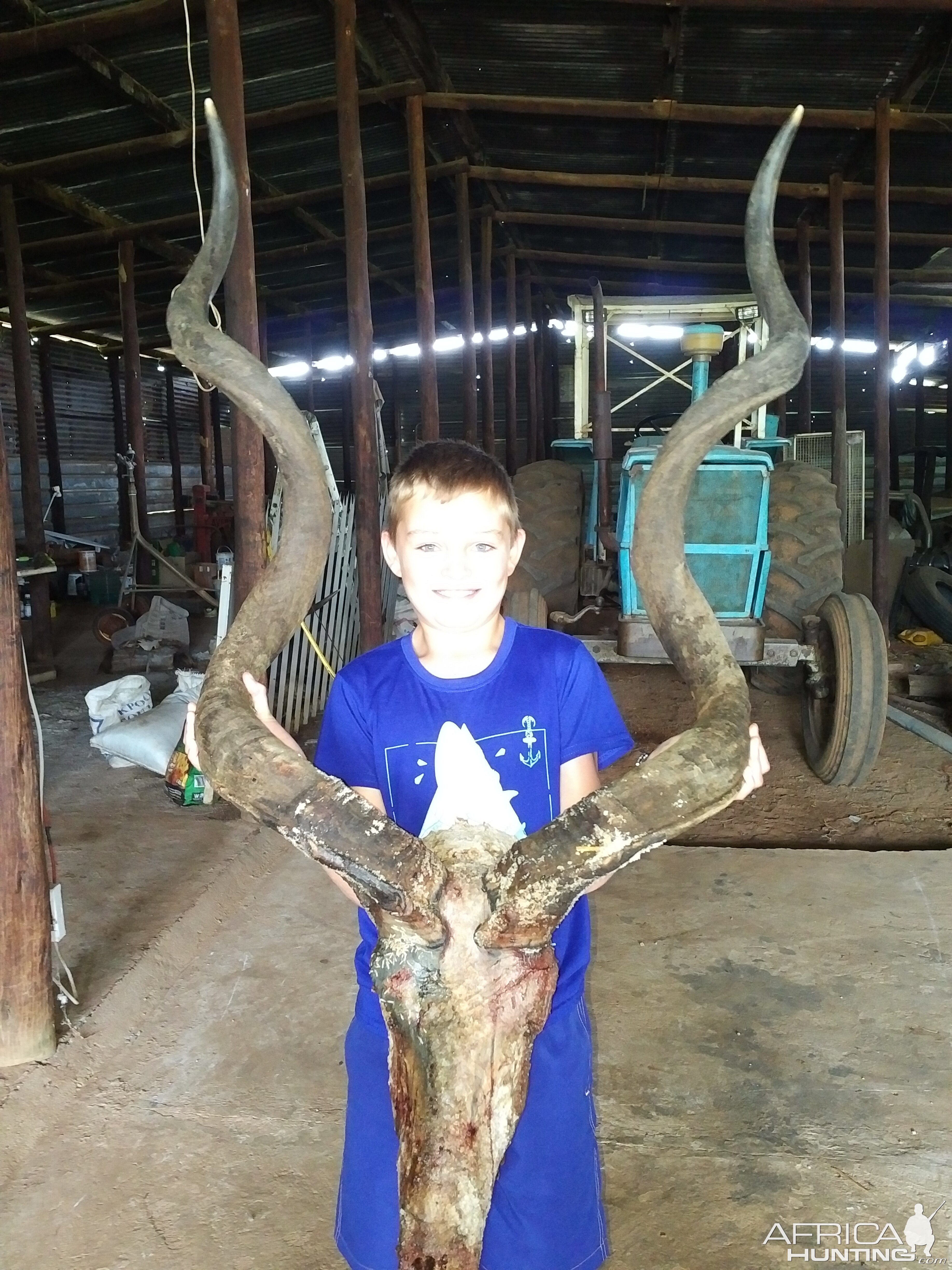 Kudu Hunt in South Africa