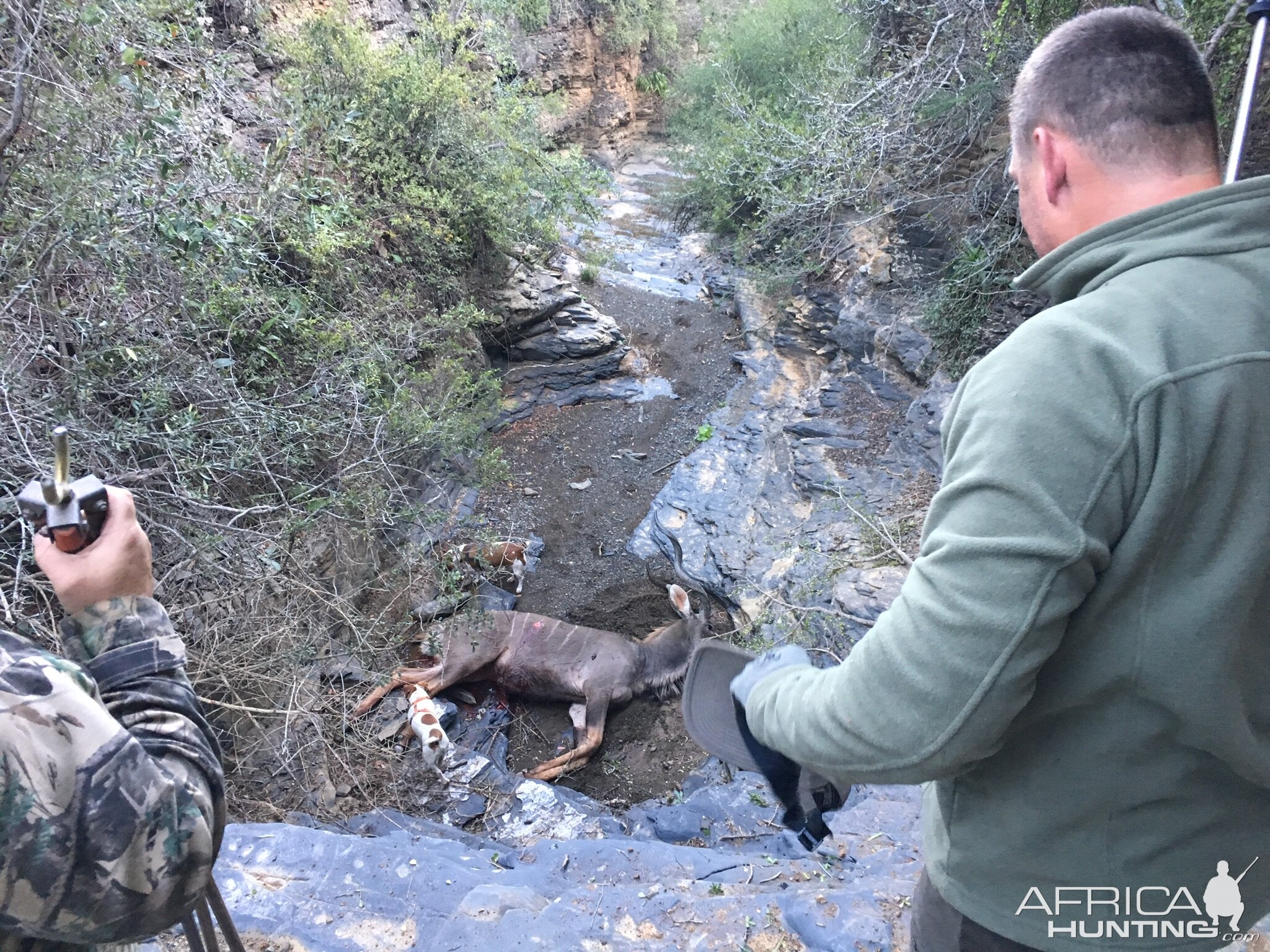 Kudu Hunt in South Africa