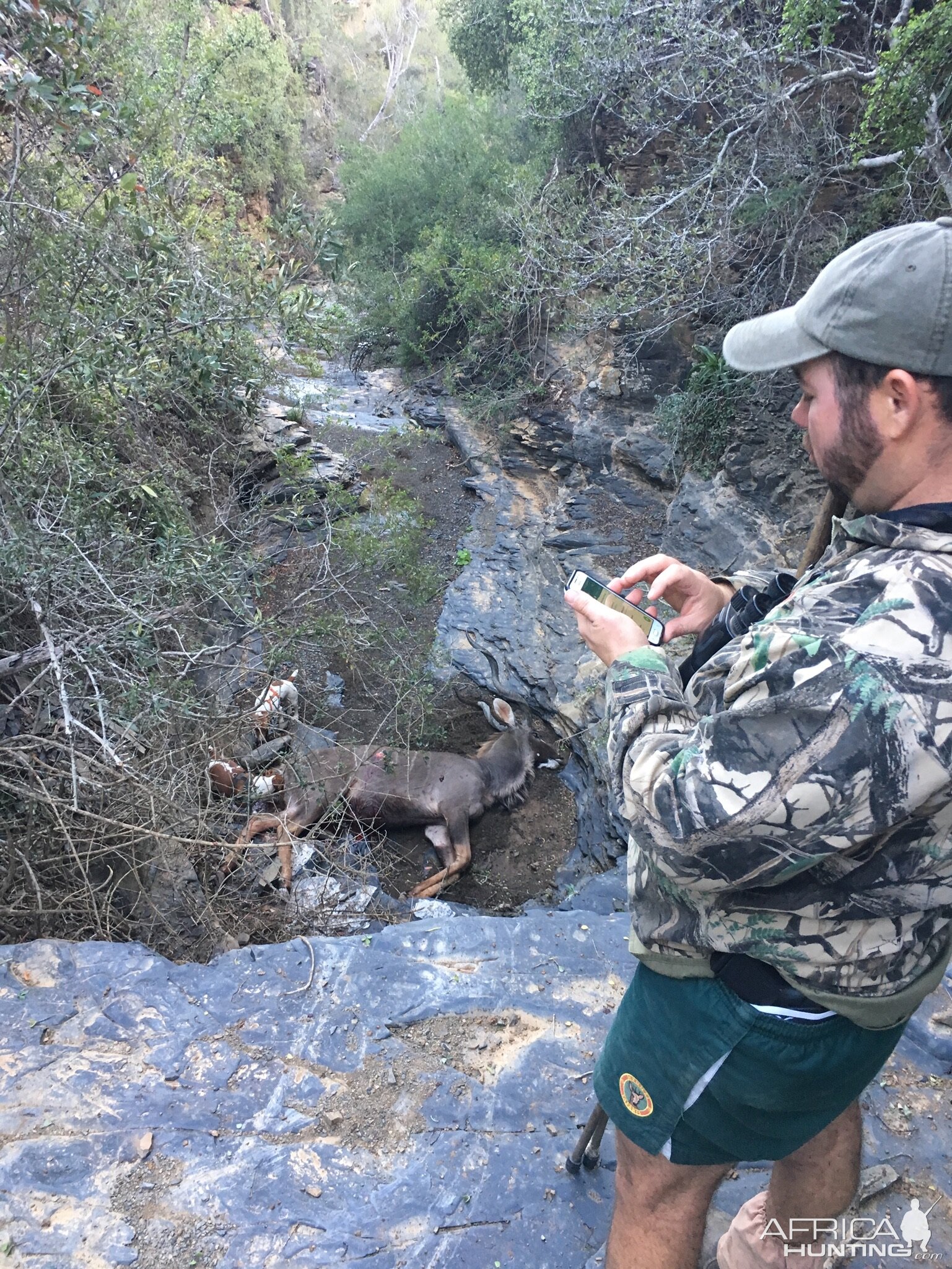 Kudu Hunt in South Africa