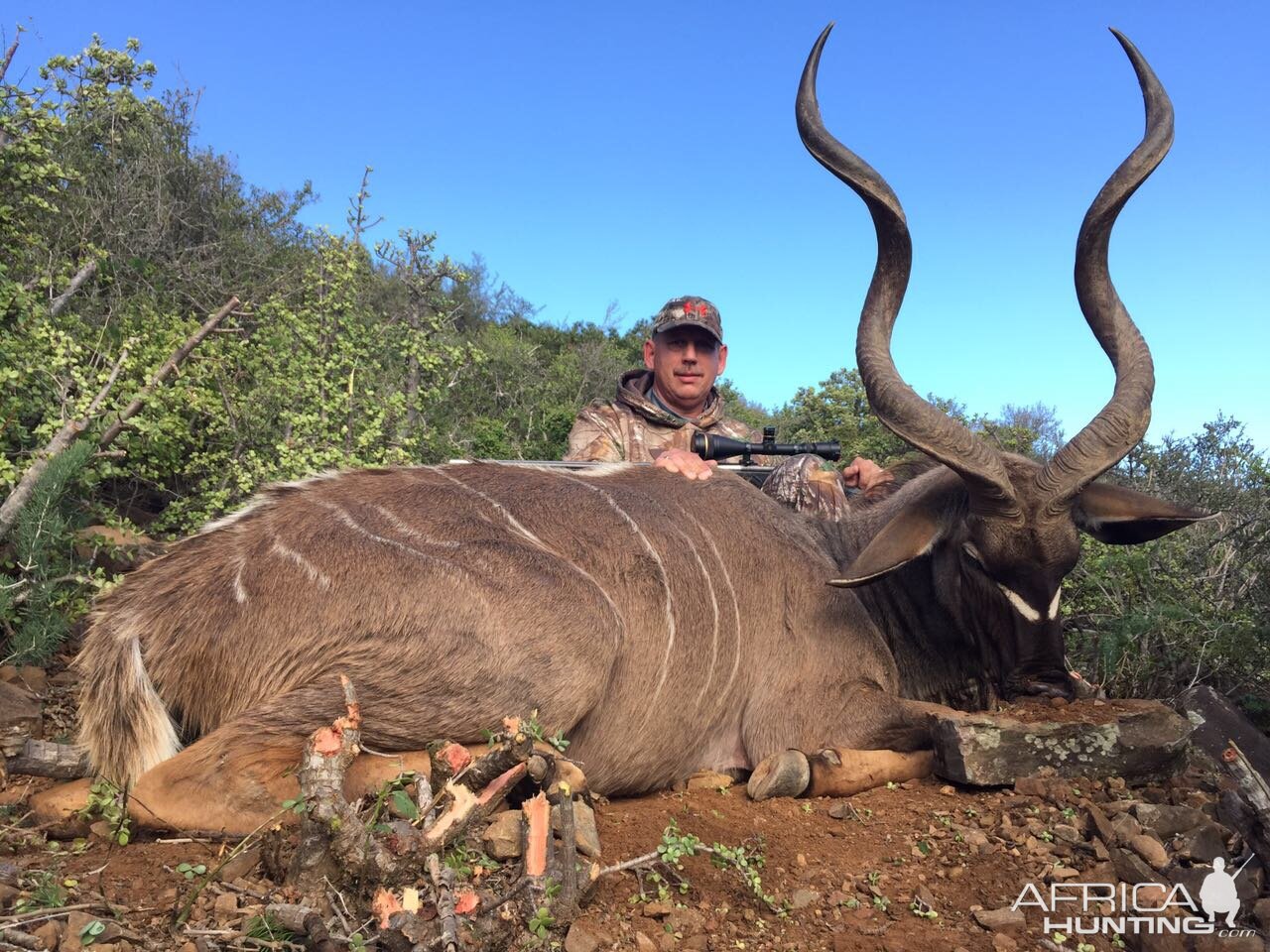 Kudu Hunt in South Africa