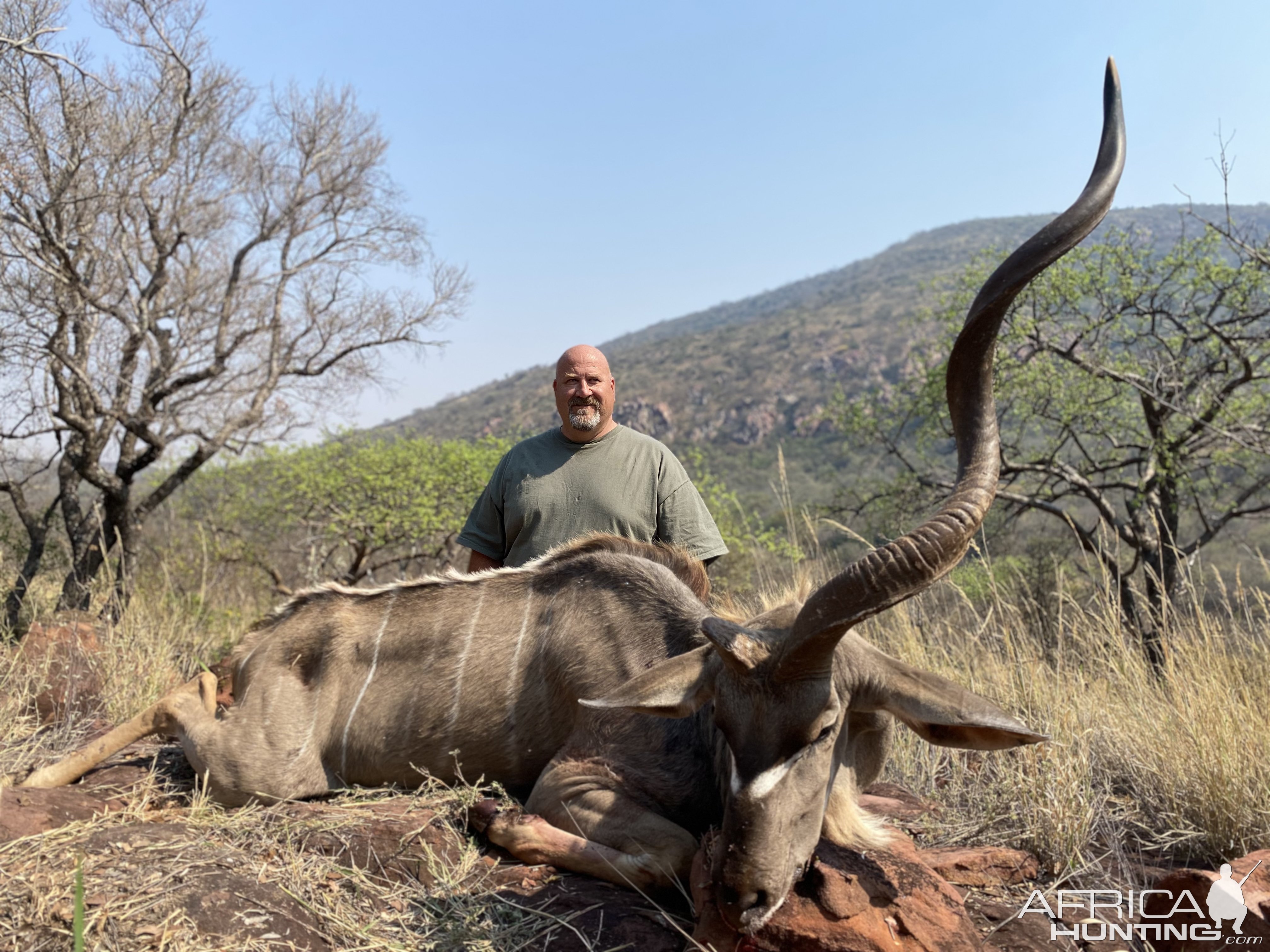 Kudu Hunt Limpopo South Africa