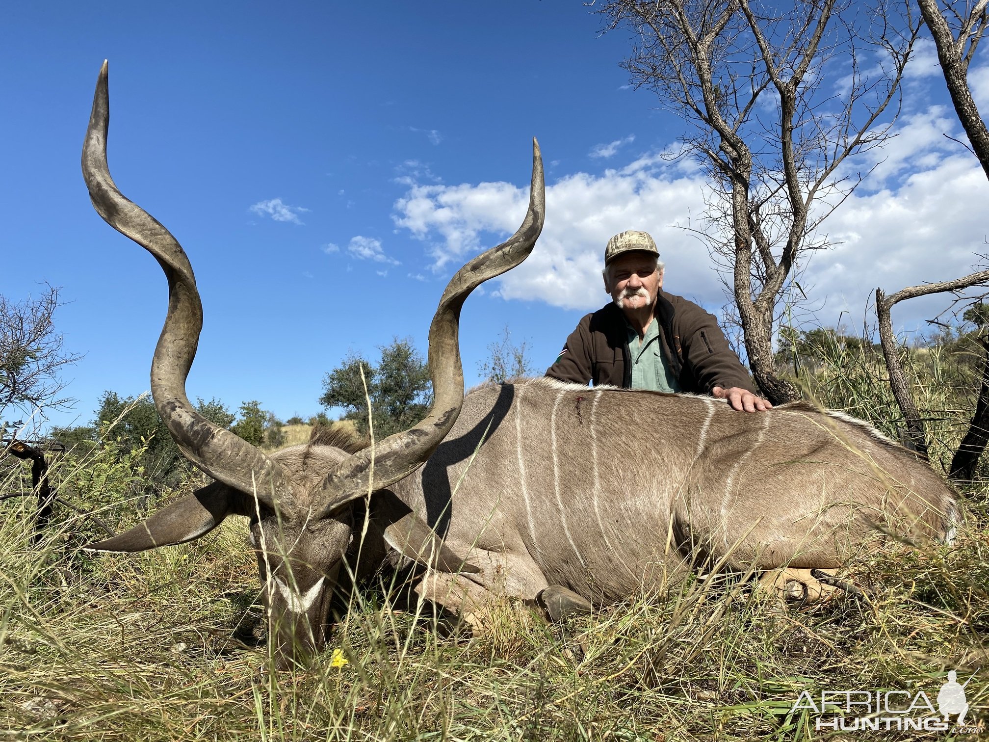 Kudu Hunt Namibia