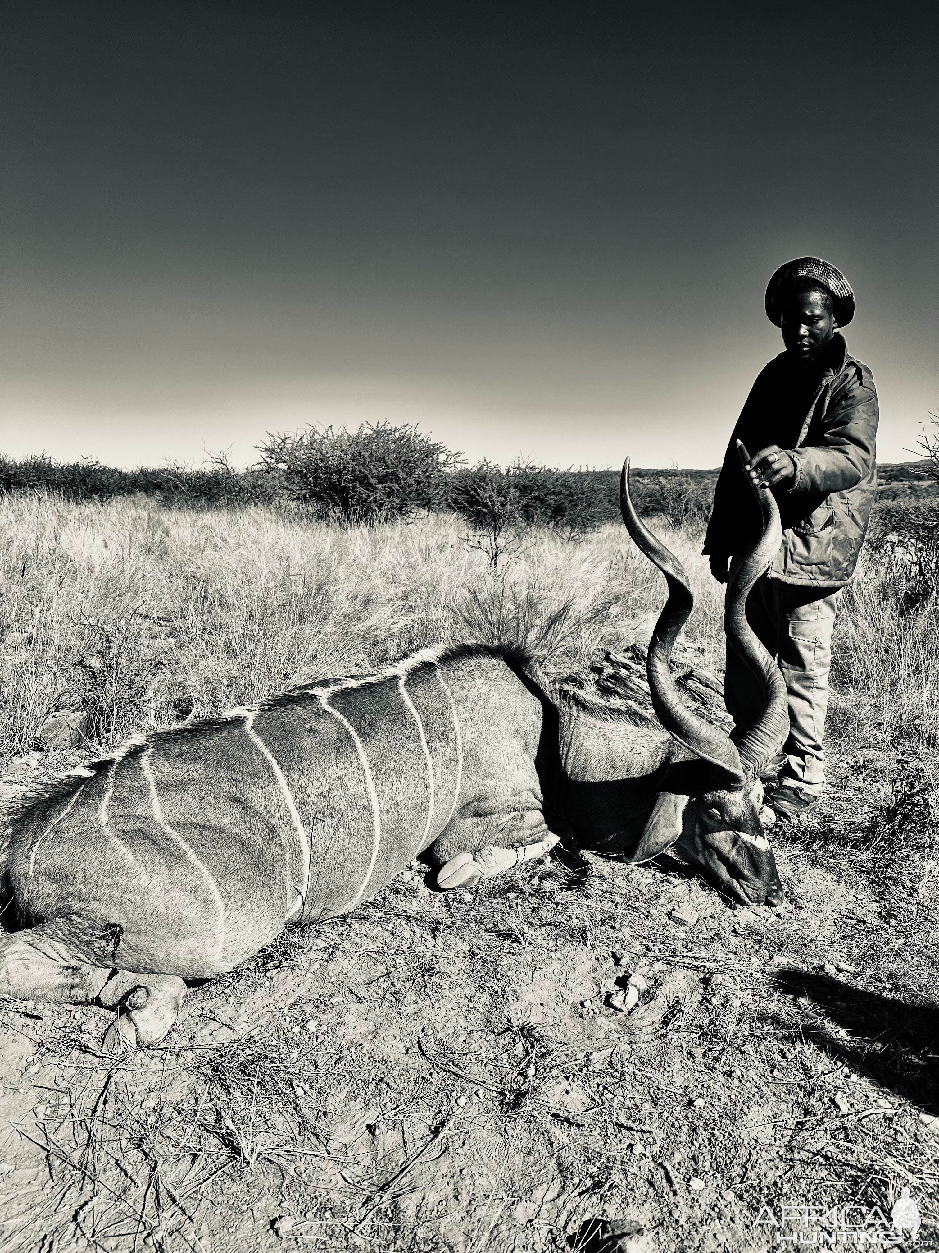 Kudu Hunt Namibia